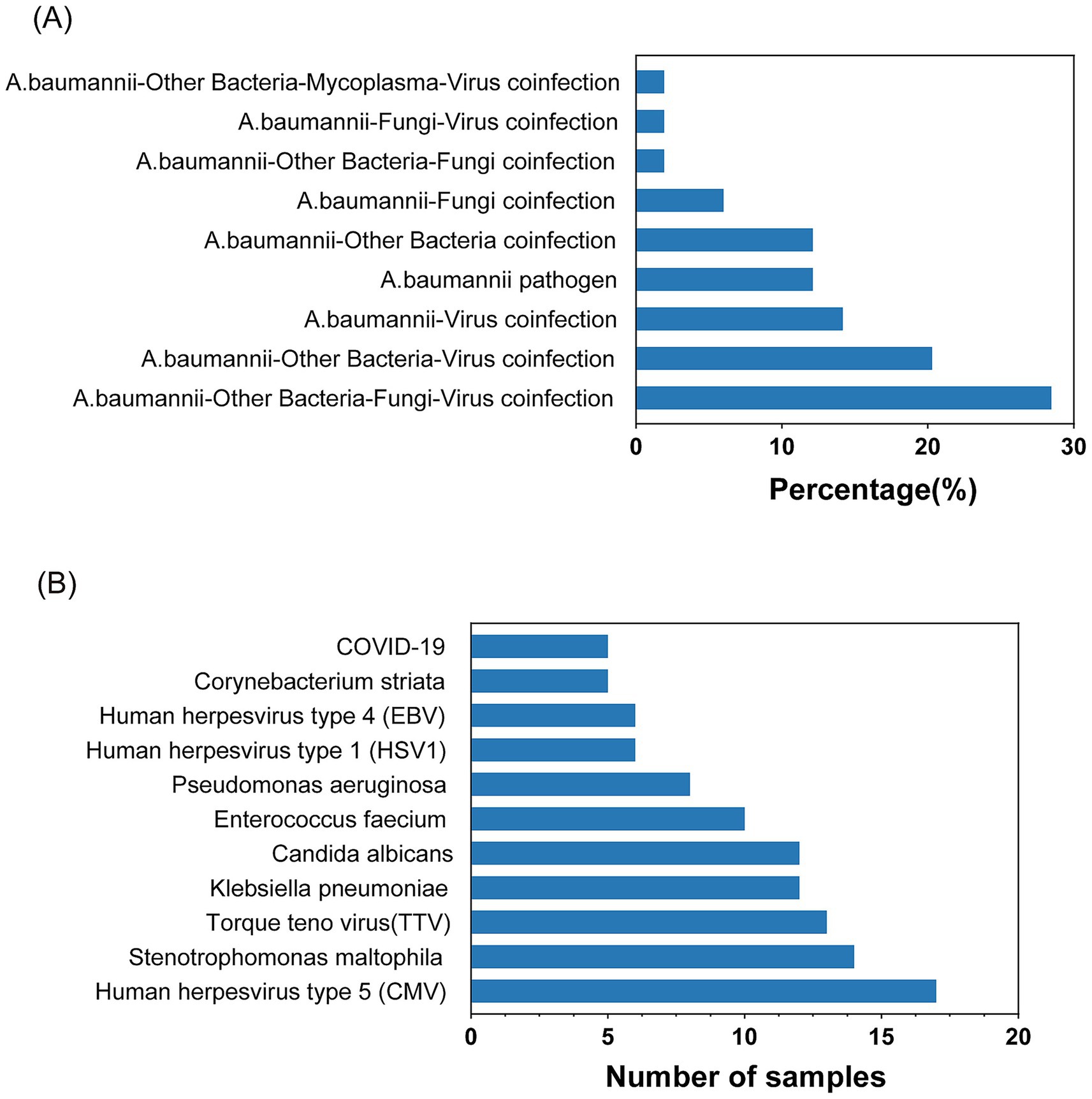 (A) Bar chart displaying various A. baumannii coinfections by percentage. The highest percentage is for A. baumannii-Other Bacteria-Fungi-Virus coinfection, exceeding 20%. (B) Bar chart depicting the number of samples co-infected with different pathogens. Human herpesvirus type 5 (CMV) has the most samples, around 19, followed by Stenotrophomonas maltophilia and Torque teno virus (TTV).
