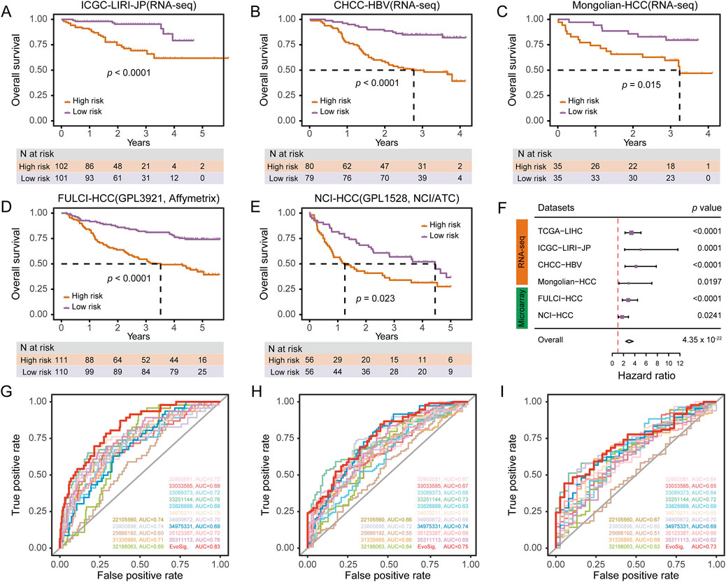 Kaplan-Meier plots (A-E) show overall survival for high and low-risk groups in various liver cancer datasets (ICGC-LIRI-JP, CHCC-HBV, Mongolian-HCC, FULCI-HCC, NCI-HCC) with different p-values indicated. Plot F is a forest plot depicting hazard ratios for these datasets with p-values. ROC curves (G-I) illustrate true positive versus false positive rates with areas under the curve for multiple models.
