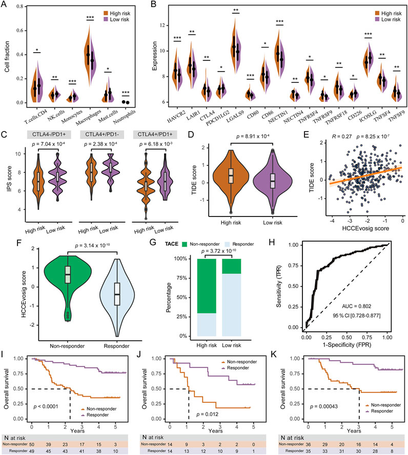 Graphical analysis showing various statistical comparisons between high-risk and low-risk groups. Violin plots (A-F) illustrate differences in cell fraction, gene expression, IPS and TIDE scores, and HCCEvsig scores; all display significant differences marked by asterisks and p-values. A scatter plot (E) shows a correlation between TIDE scores and HCCEvsig scores. Panel G presents a bar graph comparing TACE response rates. Panel H provides an ROC curve depicting the sensitivity and specificity, indicating an AUC of 0.802. Panels I-K show Kaplan-Meier survival curves with significant differences in overall survival between non-responders and responders.