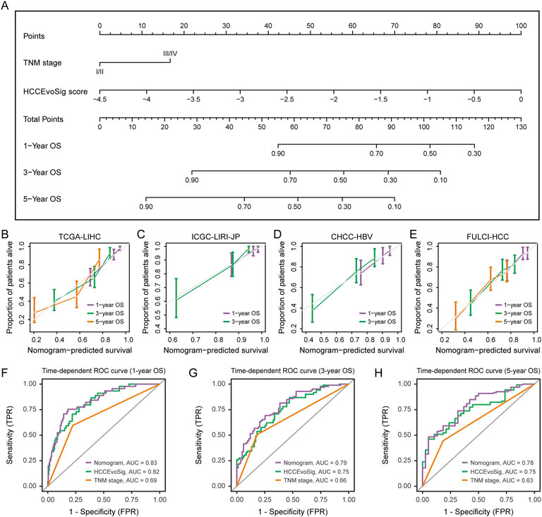 Panel A shows a nomogram for predicting overall survival based on TNM stage and HCCEvoSig score. Panels B to E display calibration plots for different cohorts over one, three, and five years. Panels F to H present time-dependent ROC curves for one-year, three-year, and five-year overall survival, showcasing the nomogram's AUC compared to other predictors.