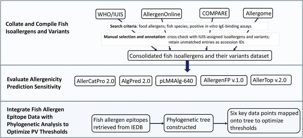 Flowchart detailing the process of collating fish isoallergens and variants. Sources include WHO/IUIS, AllergenOnline, COMPARE, and Allergome. A consolidated dataset is created through specific search criteria and manual selection. The dataset evaluates allergenicity prediction sensitivity using tools like AllerCatPro 2.0 and AlgPred 2.0. Further analysis integrates fish allergen epitope data from IEDB and constructs a phylogenetic tree, optimizing six key data points for threshold improvement.