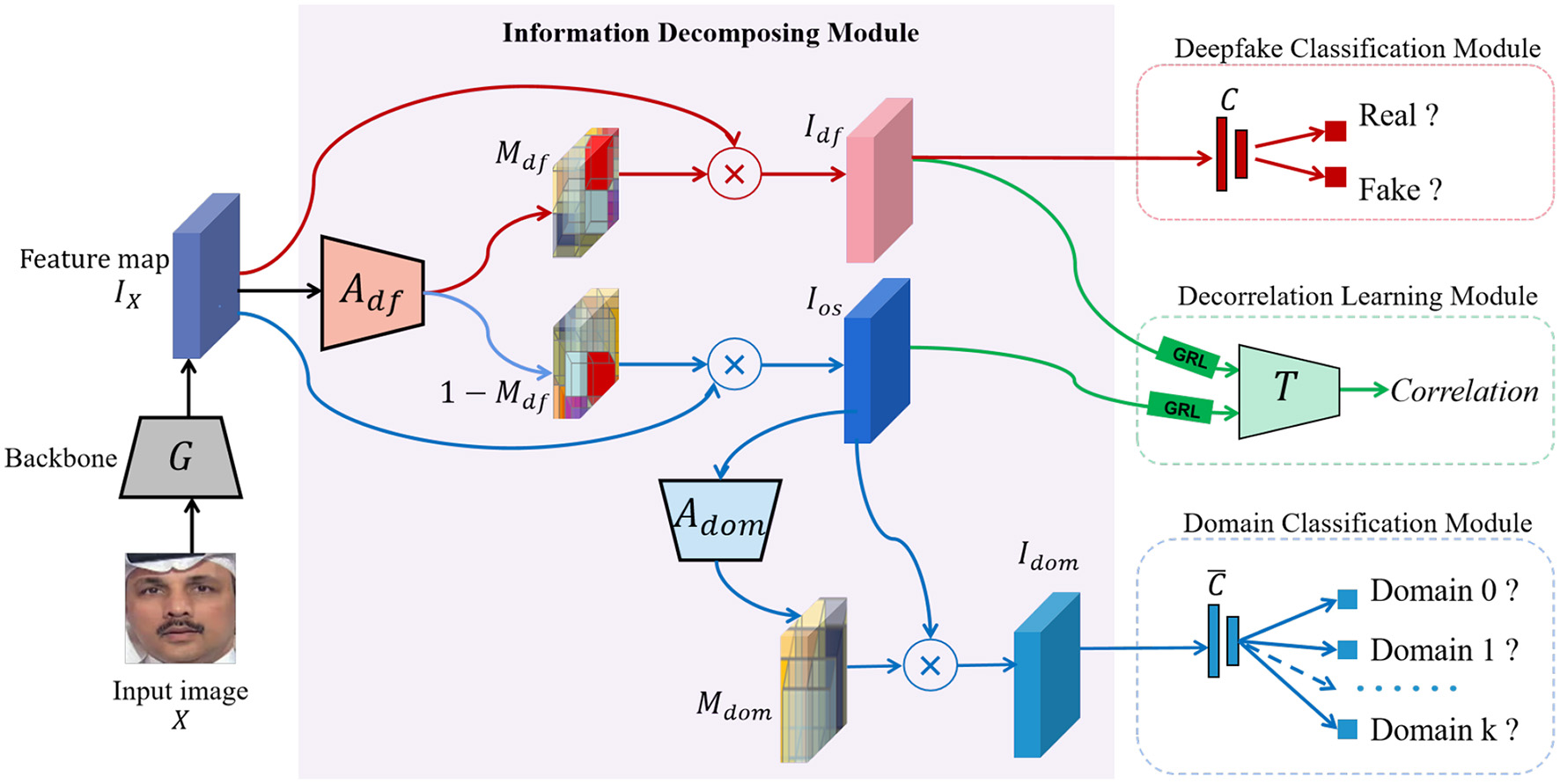 Diagram of a machine learning framework for detecting deepfakes, showing an input image processed through a backbone network G to create a feature map. The Information Decomposing Module uses this map to generate two branches: one for deepfake classification, identifying real or fake images, and another for domain classification, identifying the image's domain. The Decorrelation Learning Module minimizes correlation. Paths are color-coded, with components labeled for clarity.