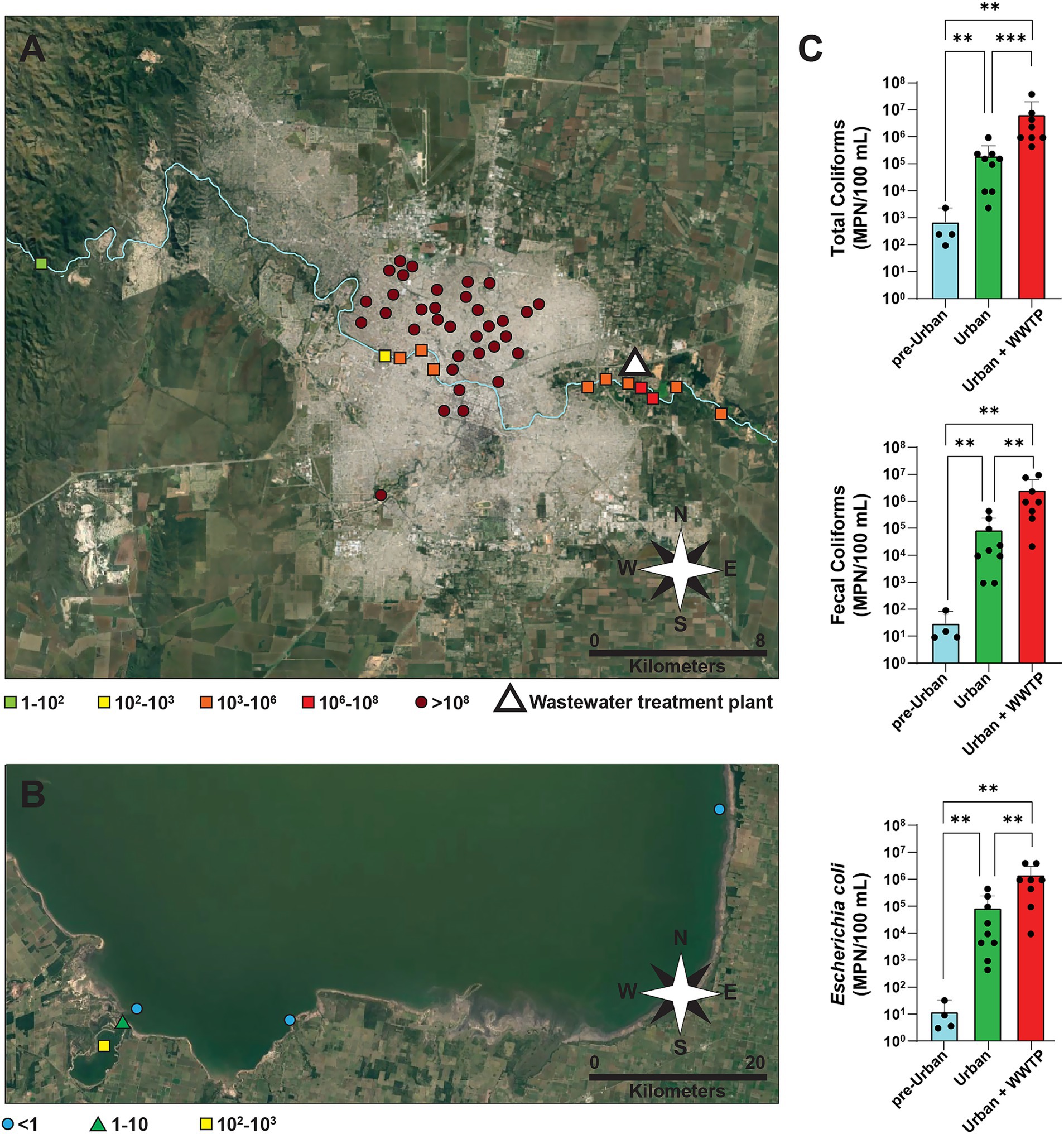 A satellite map and charts illustrating water quality data. Panel A shows a city with points indicating coliform concentration levels in varying colors, correlating to a legend. A wastewater treatment plant is marked by a triangle. Panel B shows a lake area with similar data points. Panel C displays bar graphs comparing total coliforms, fecal coliforms, and Escherichia coli levels in different areas, with significant differences marked by asterisks. The maps include compass roses and distance scales.