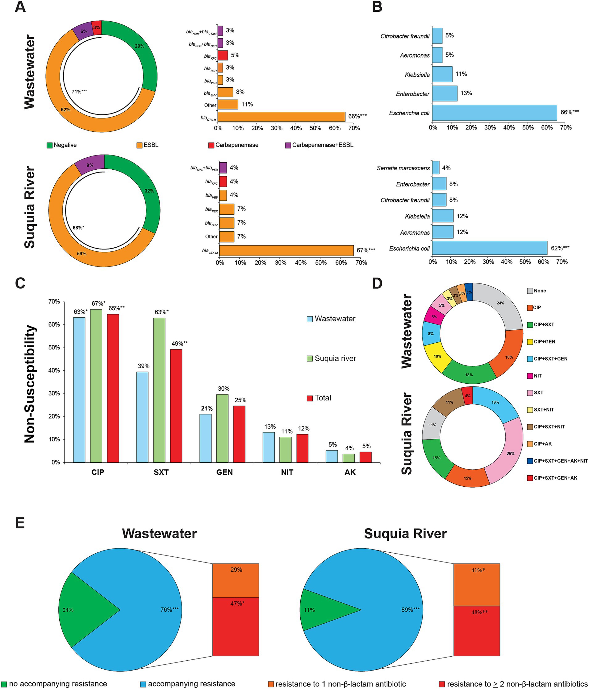 Five-panel image detailing antibiotic resistance in wastewater and Suquía River. Panel A shows doughnut charts and bar graphs of ESBL and carbapenemase prevalences. Panel B details bacterial species prevalence with bar graphs. Panel C presents a bar graph comparing non-susceptibility rates to antibiotics including CIP, SXT, GEN, NIT, and AK. Panel D displays doughnut charts of co-resistances in wastewater and Suquía River. Panel E shows pie charts of samples with accompanying resistance in wastewater and Suquía River. Each panel highlights specific resistance patterns with percentages.