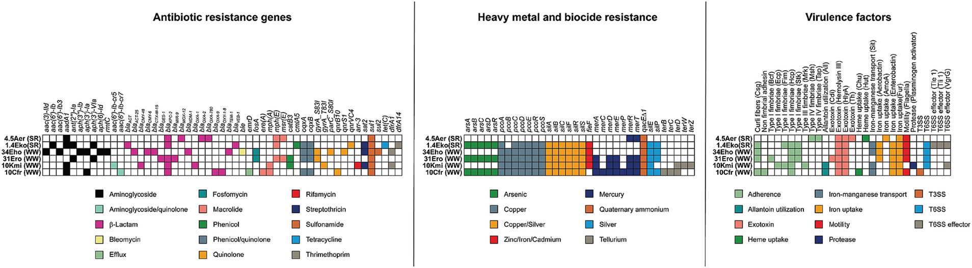 Comparison of antibiotic resistance genes, heavy metal and biocide resistance, and virulence factors across different strains. Each section shows a color-coded heatmap indicating the presence or absence of specific genes or resistance traits. The legend identifies categories such as antibiotic types, metals, and virulence factors related to biological functions.