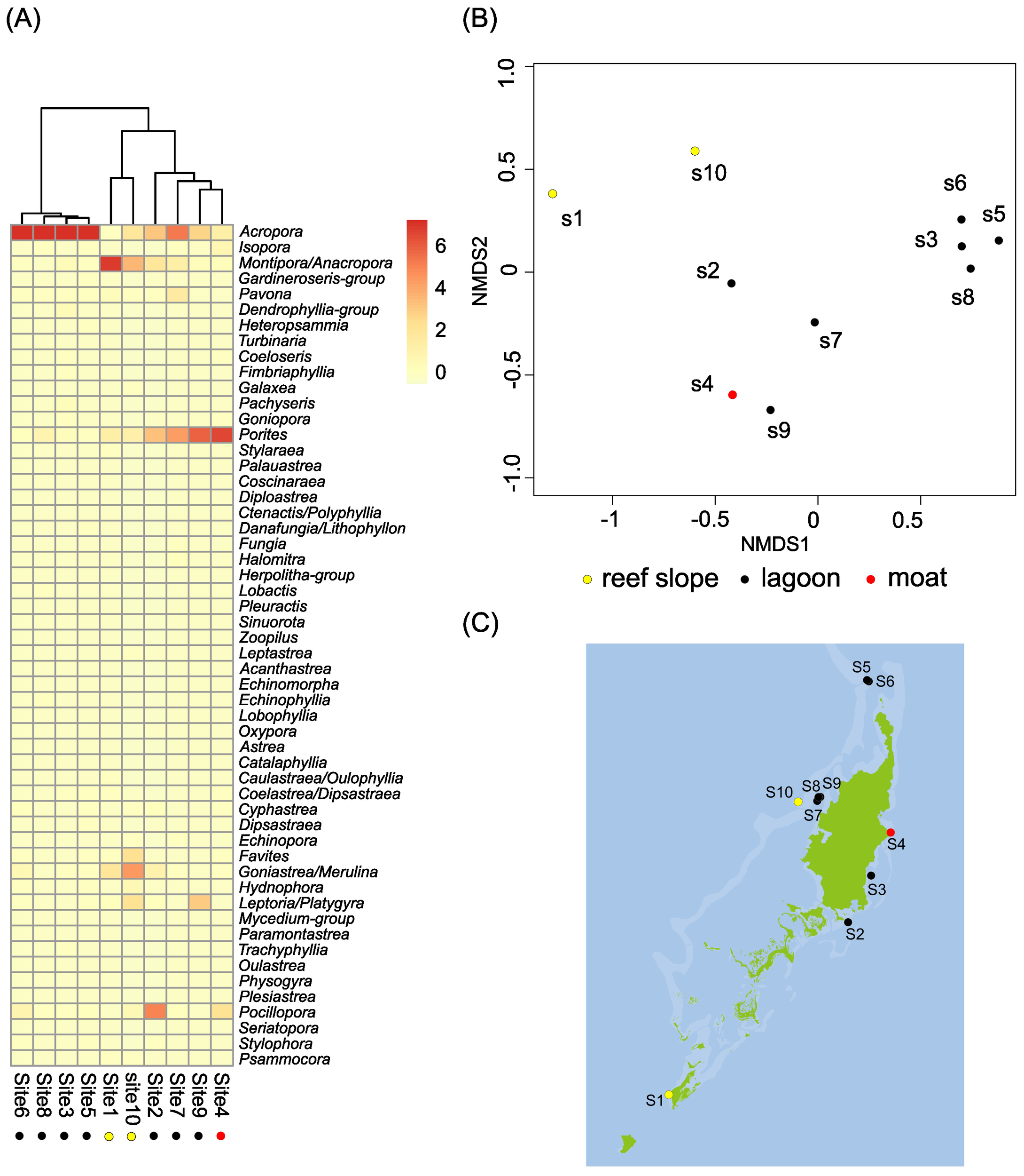 (A) Heatmap showing the distribution of various coral genera. Color intensity indicates abundance, with a gradient from yellow (low) to red (high). (B) NMDS plot illustrating the distribution of sampling sites across three environments: reef slope (yellow), lagoon (black), and moat (red). (C) Map of Palau highlighting sampling site locations marked as S1 to S10, with corresponding environmental colors.