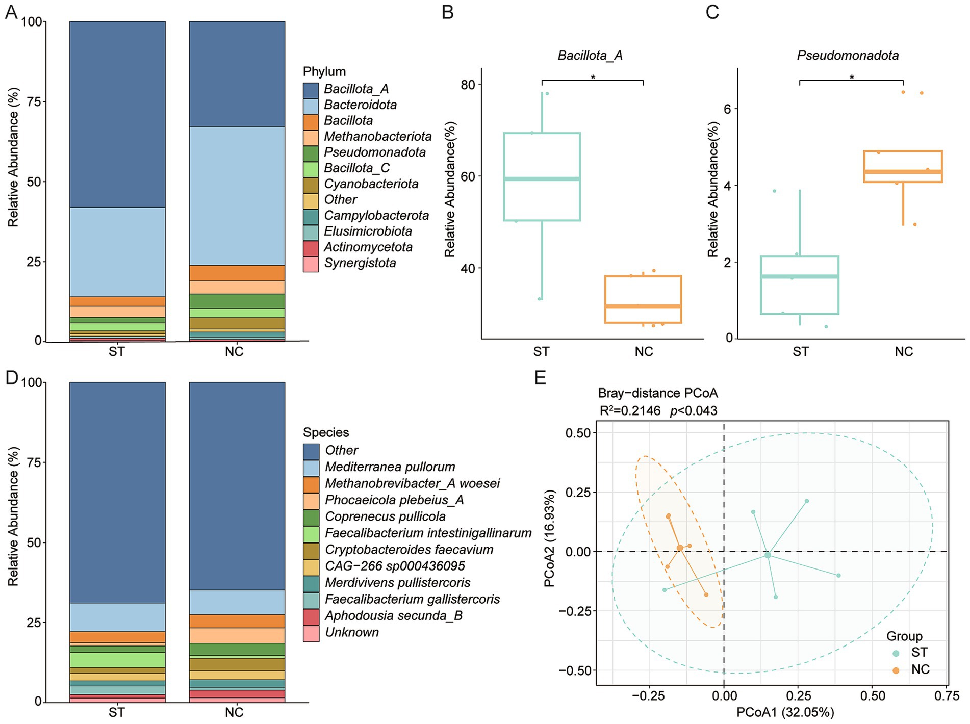Grouped image showing microbial data comparison between ST and NC groups. A and D are stacked bar graphs showing relative abundance of microbial phyla and species, respectively. B and C are box plots comparing Bacillota_A and Pseudomonadota abundance. E is a PCoA plot displaying group clustering. Significant differences marked with asterisks.
