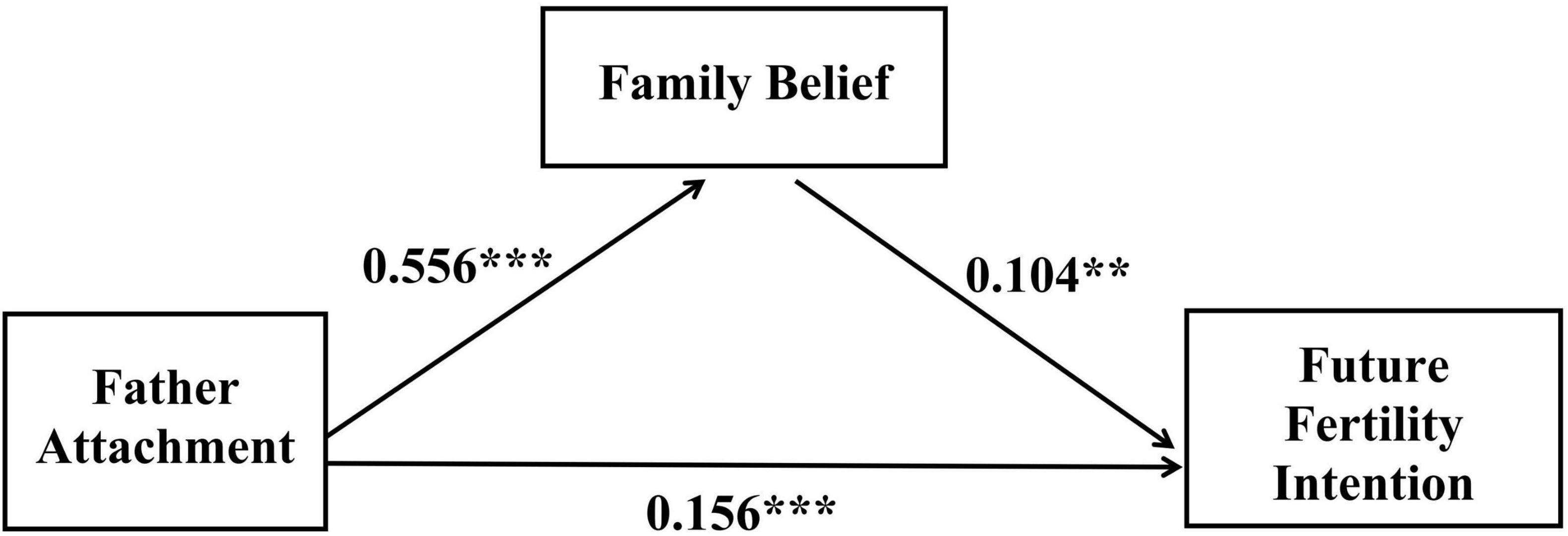 Flowchart illustrating relationships between variables. “Father Attachment” points to “Family Belief” with a coefficient of 0.556, which then points to “Future Fertility Intention” with a coefficient of 0.104. “Father Attachment” also points directly to “Future Fertility Intention” with a coefficient of 0.156. Asterisks indicate statistical significance.