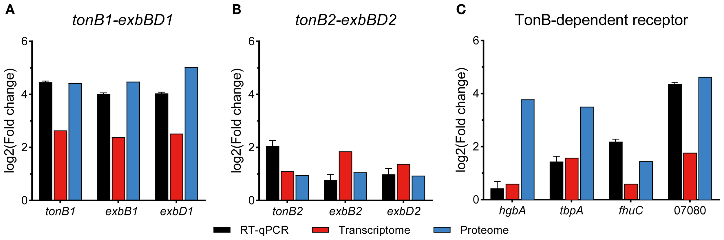 Bar chart displaying log2 fold change of gene expression in three panels: A) tonB1-exbBD1, B) tonB2-exbBD2, and C) TonB-dependent receptor. Panels present data from RT-qPCR (black), transcriptome (red), and proteome (blue) for various genes. Panel A shows higher expression levels compared to Panels B and C, with the highest noted in the proteome data.
