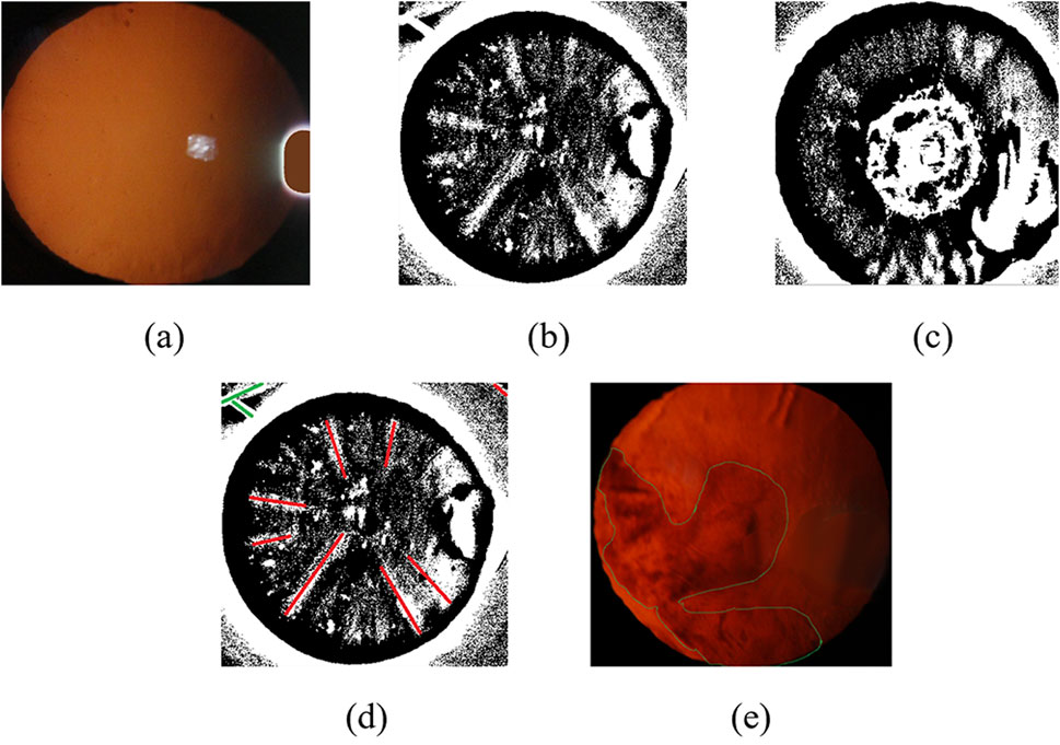 Five images labeled (a) to (e) show stages of image processing on a circular object. (a) A brown circular object with a white patch. (b) Black and white circular pattern with radial textures. (c) Black and white circular pattern with central textures. (d) Black and white pattern with added red lines radiating from the center. (e) A red circular object with outlined irregular shapes.