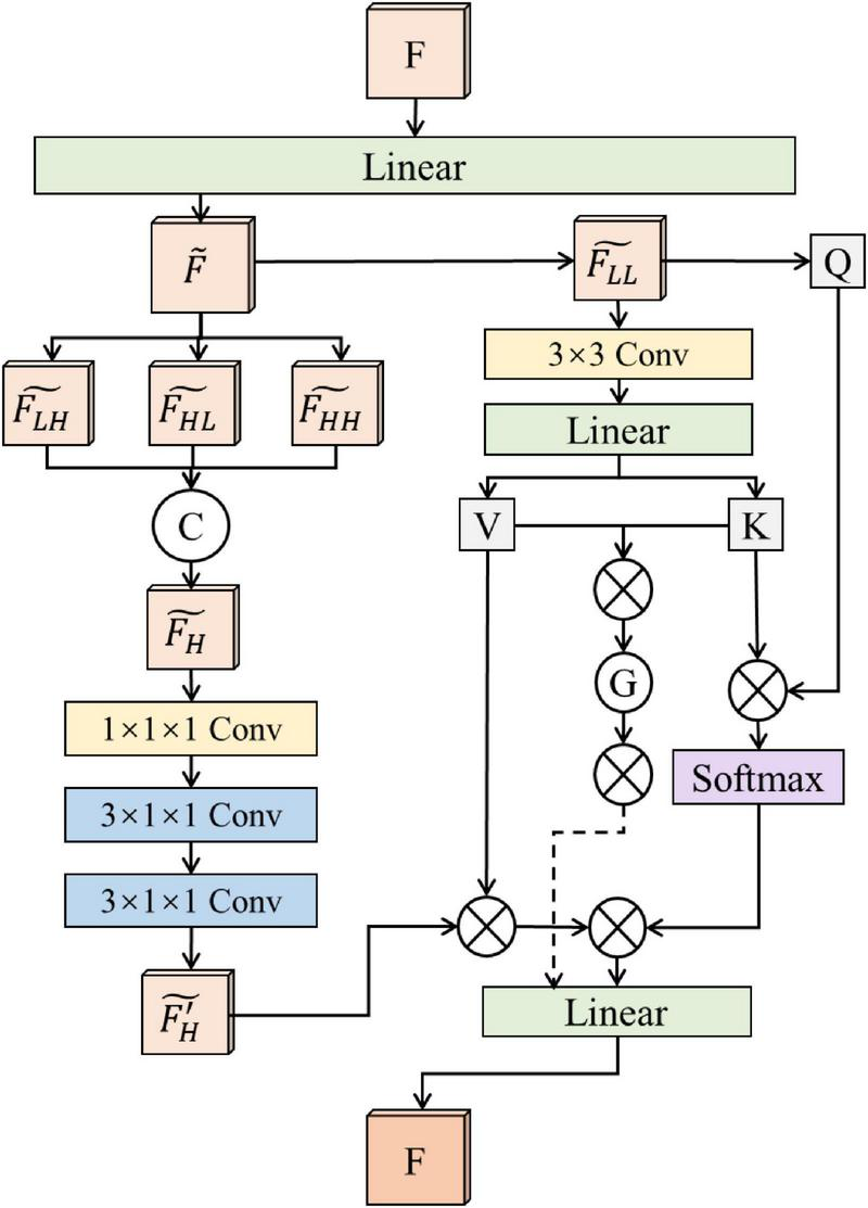 Flowchart of a neural network model showing various computation steps. Input F passes through a linear layer, then splits into multiple branches involving convolutional operations (1x1 and 3x1x1). Outputs include linear transformations, activations like softmax, and feature maps, which merge back into F.
