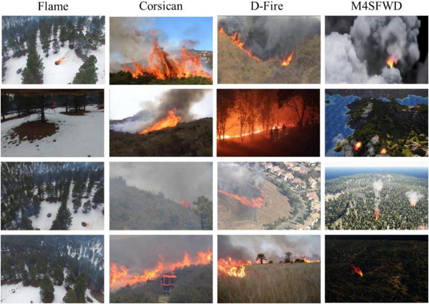 Four columns of wildfire images labeled Flame, Corsican, D-Fire, and M4SFWD. Each column contains four images depicting various scenes of wildfires in different environments, including forests and grassy areas, with visible smoke and flames.
