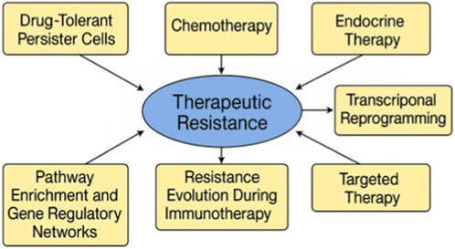 Flowchart illustrating factors contributing to therapeutic resistance. The central oval labeled