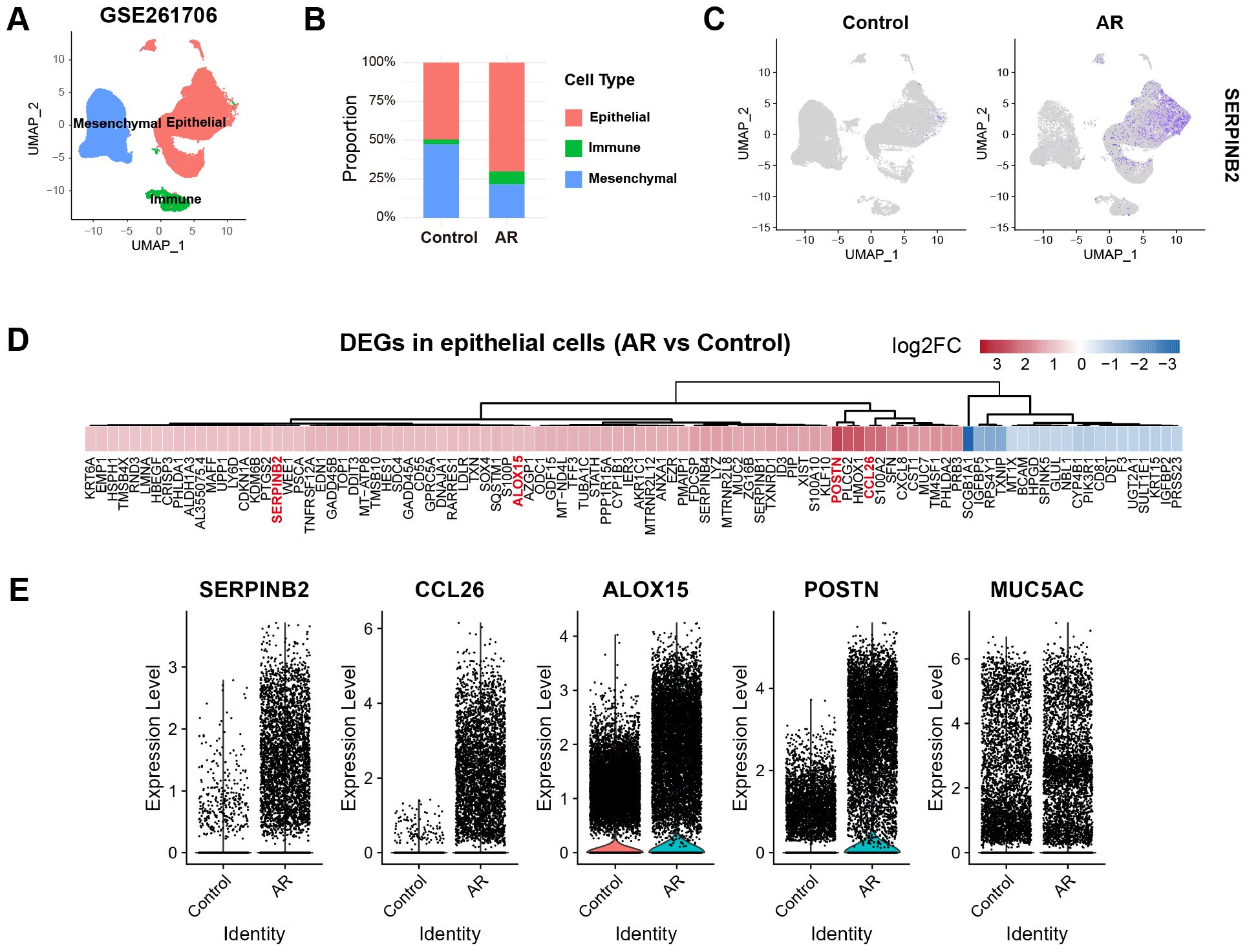 Panel with multiple charts depicting cell types and gene expression in control vs. AR conditions. A shows UMAP plot clustering epithelial, mesenchymal, and immune cells. B illustrates cell type proportions in control and AR, with a stacked bar chart. C displays UMAP plots of SERPINB2 expression in control and AR. D is a heat map of differentially expressed genes, with a color gradient indicating log2 fold change. E consists of scatter plots for genes SERPINB2, CCL26, ALOX15, POSTN, and MUC5AC, comparing expression levels between control and AR.
