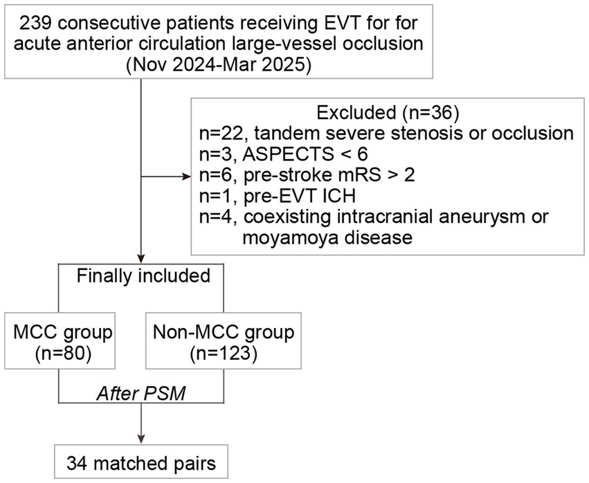 Flowchart depicting the selection process for EVT patients with acute anterior circulation large-vessel occlusion (Nov 2024-Mar 2025). Out of 239 patients, 36 were excluded due to various reasons like tandem stenosis, ASPECTS scores, pre-stroke mRS, pre-EVT ICH, or coexisting conditions. Remaining 203 were divided into MCC (80) and Non-MCC (123) groups, resulting in 34 matched pairs after propensity score matching (PSM).