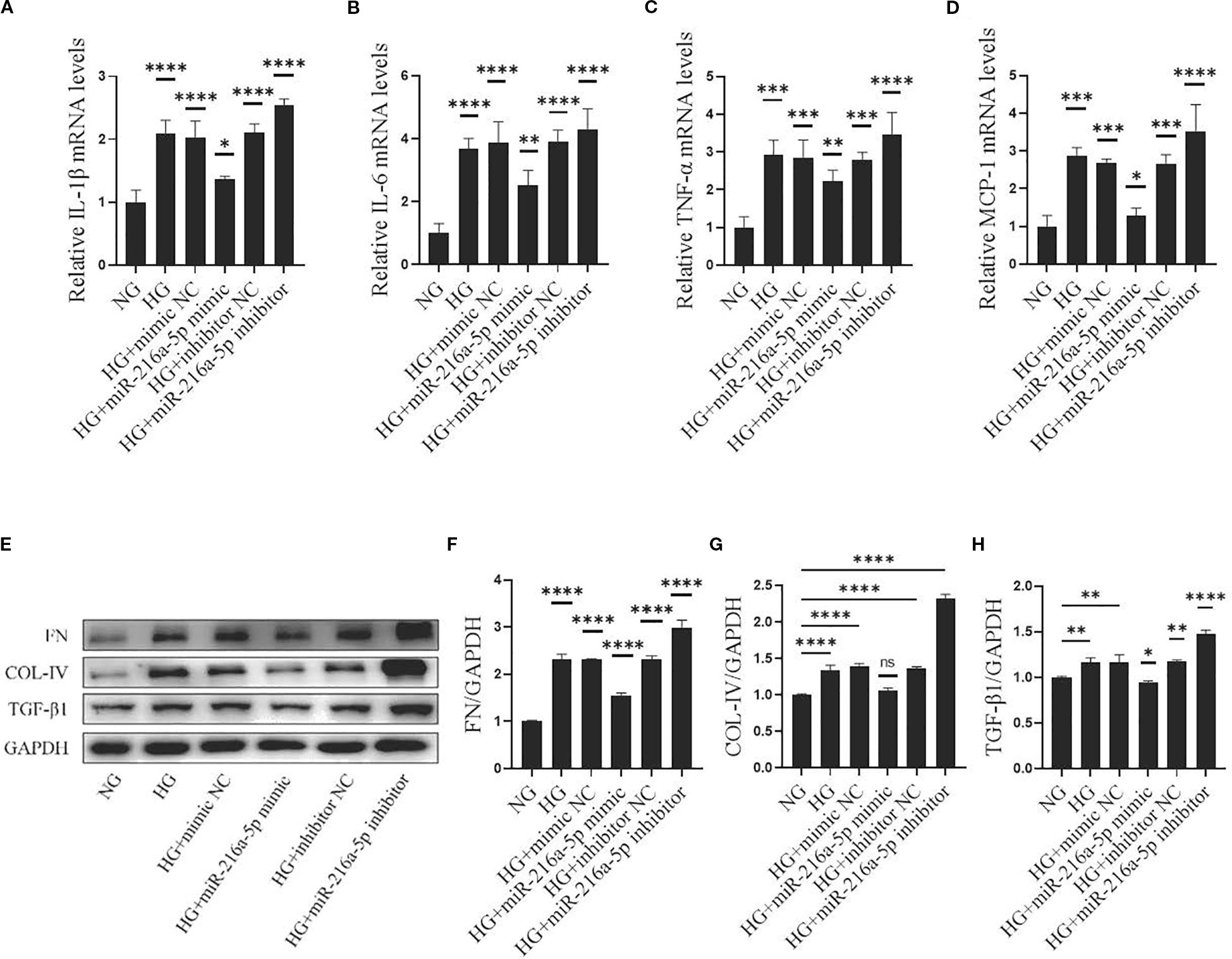 Bar graphs and Western blot images show the effects of different treatments on mRNA and protein levels. Charts A to D display mRNA levels of IL-1β, IL-6, TNF-α, and MCP-1 across various conditions, with statistical significance denoted by asterisks. Image E shows Western blot results for FN, COL-IV, TGF-β1, and GAPDH. Graphs F to H quantify FN, COL-IV, and TGF-β1 protein levels relative to GAPDH, also showing significant differences.