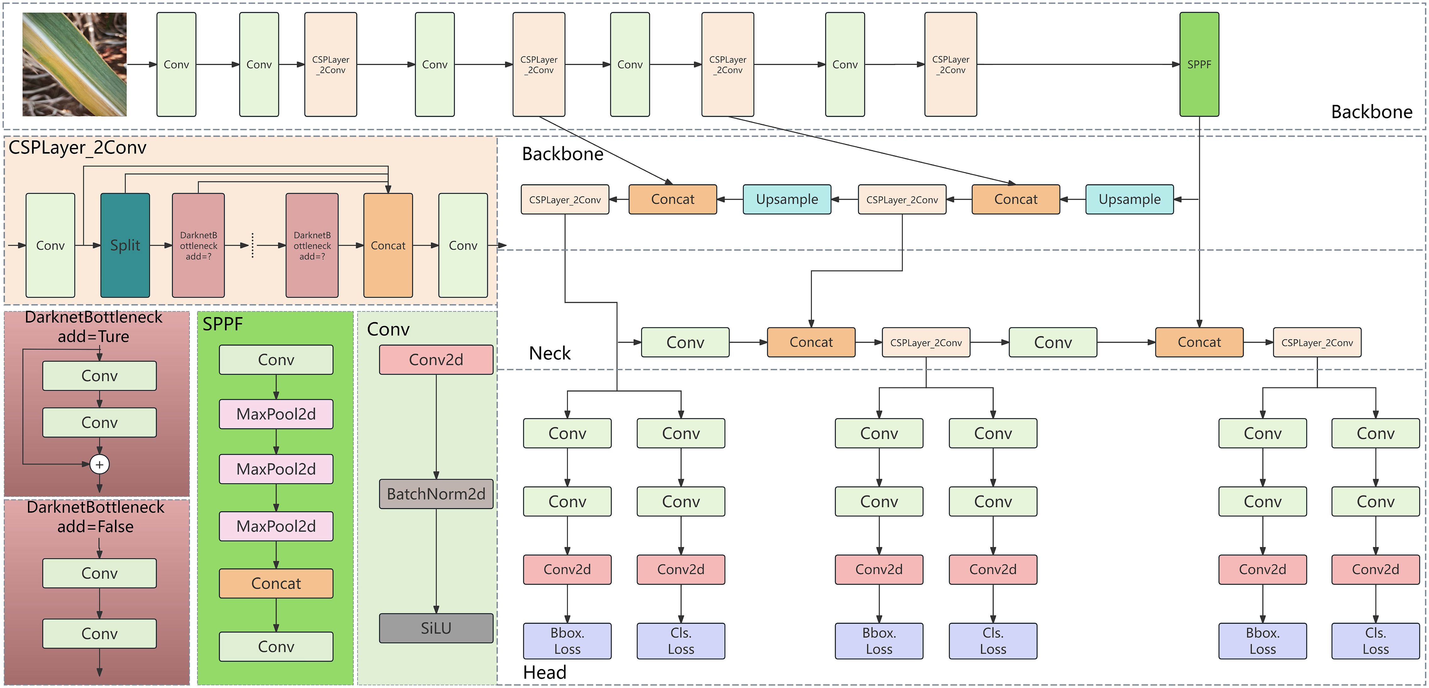 Flowchart of a neural network architecture featuring a backbone, neck, and head. The backbone consists of Conv layers and CSPlayer_2Conv, followed by an SPPF block. The neck shows Concat and Upsample operations leading to Conv layers. The head contains Conv layers concluding with Bbox and Cls loss computations.
