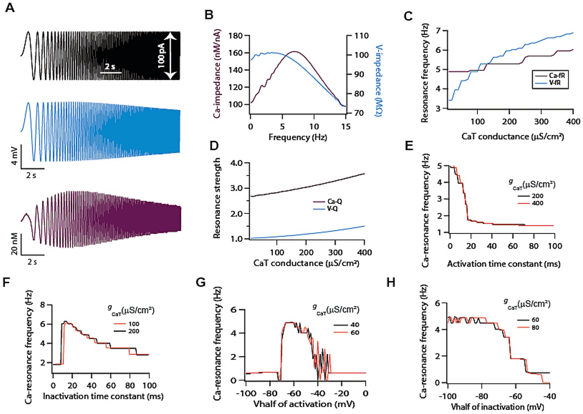 Multifaceted scientific visualization showing graphs and plots related to calcium (Ca) resonance in neurons. Panel A displays three oscillations with different parameters: current (picoamperes), voltage (millivolts), and concentration (nanomolar). Panel B features a graph showing Ca-impedance and voltage-impedance versus frequency. Panel C shows dependence of voltage and calcium resonance frequencies on T-type calcium conductance. Panel D illustrates Dependence of voltage and calcium resonance strengths on T-type calcium conductance. Panels E through H depict calcium resonance frequency versus varying parameters: activation time constant, inactivation time constant, V-half of activation, and V-half of inactivation, with different conductance levels in red and black lines.
