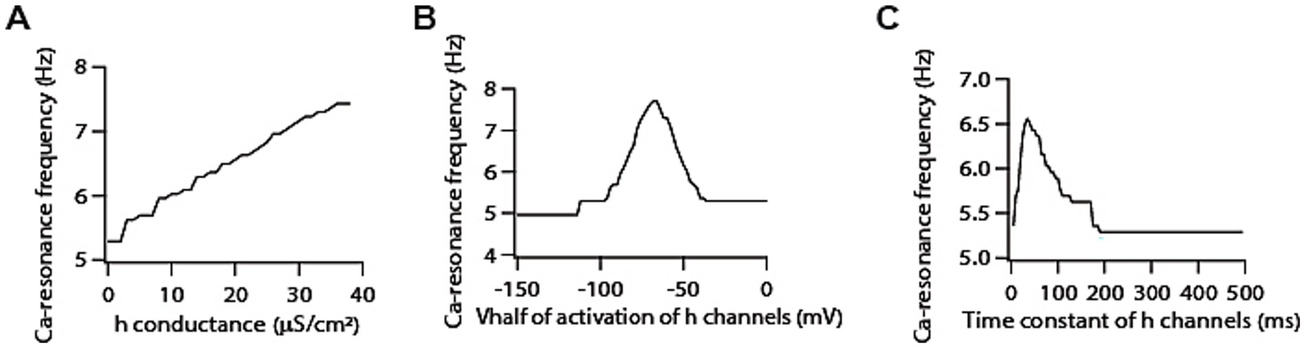 Graphs showing Ca-resonance frequency versus different parameters. A: Frequency increases with h conductance (0 to 40 μS/cm²). B: Frequency is highest around -70 mV for half activation of h channels. C: Frequency decreases as the time constant of h channels increases from 0 to 500 ms.