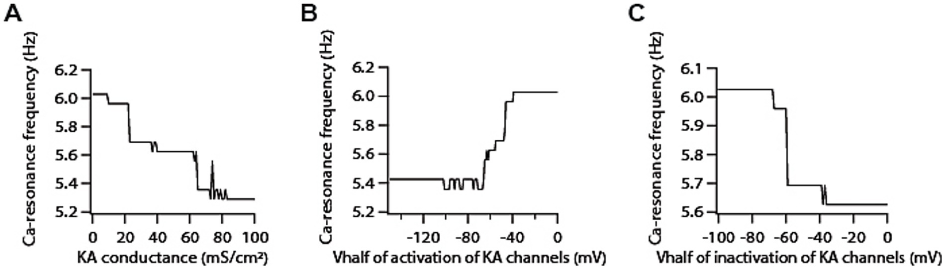 Three line graphs labeled A, B, and C show the relationship between Ca-resonance frequency in hertz and various potassium A channel parameters. Graph A plots frequency against KA conductance in millisiemens per square centimeter, showing a descending trend. Graph B displays frequency versus Vhalf of activation in millivolts, with a mostly flat line. Graph C depicts frequency against Vhalf of inactivation in millivolts, showing minor fluctuations before a decline.