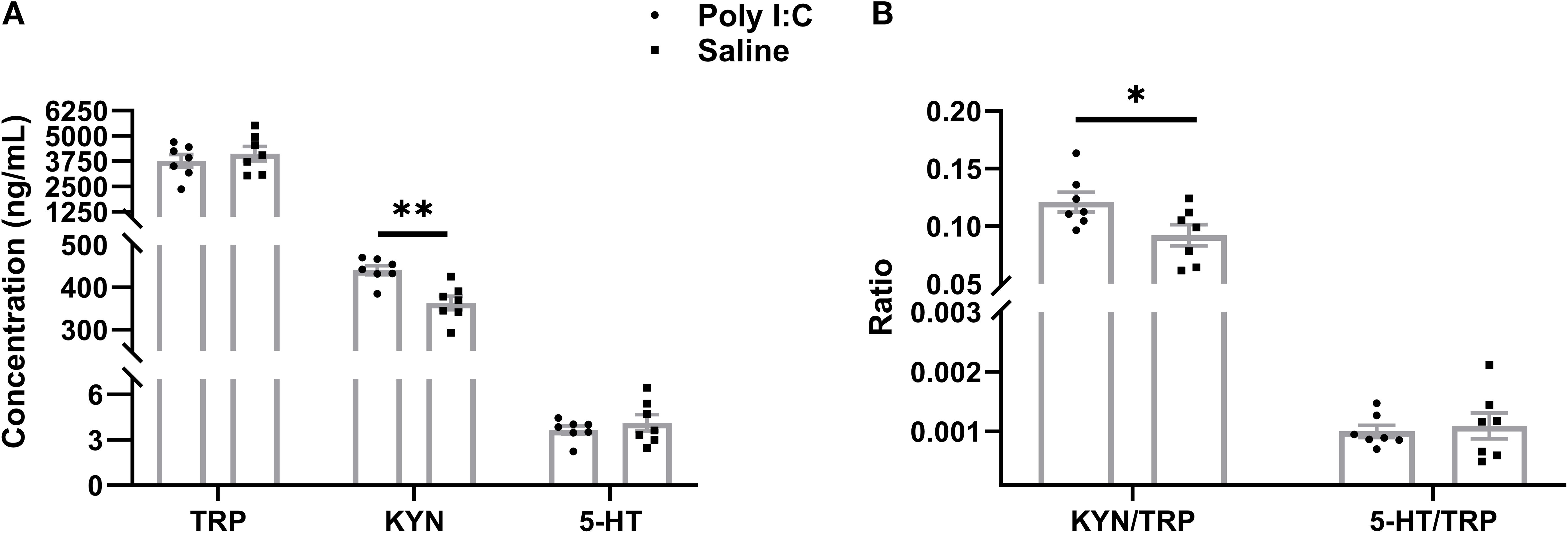 Bar graphs show the effect of Poly I:C compared to saline on tryptophan (TRP), kynurenine (KYN), and serotonin (5-HT) concentrations, and the KYN/TRP and 5-HT/TRP ratios. Each graph includes error bars, individual data points, and significant differences marked by asterisks.