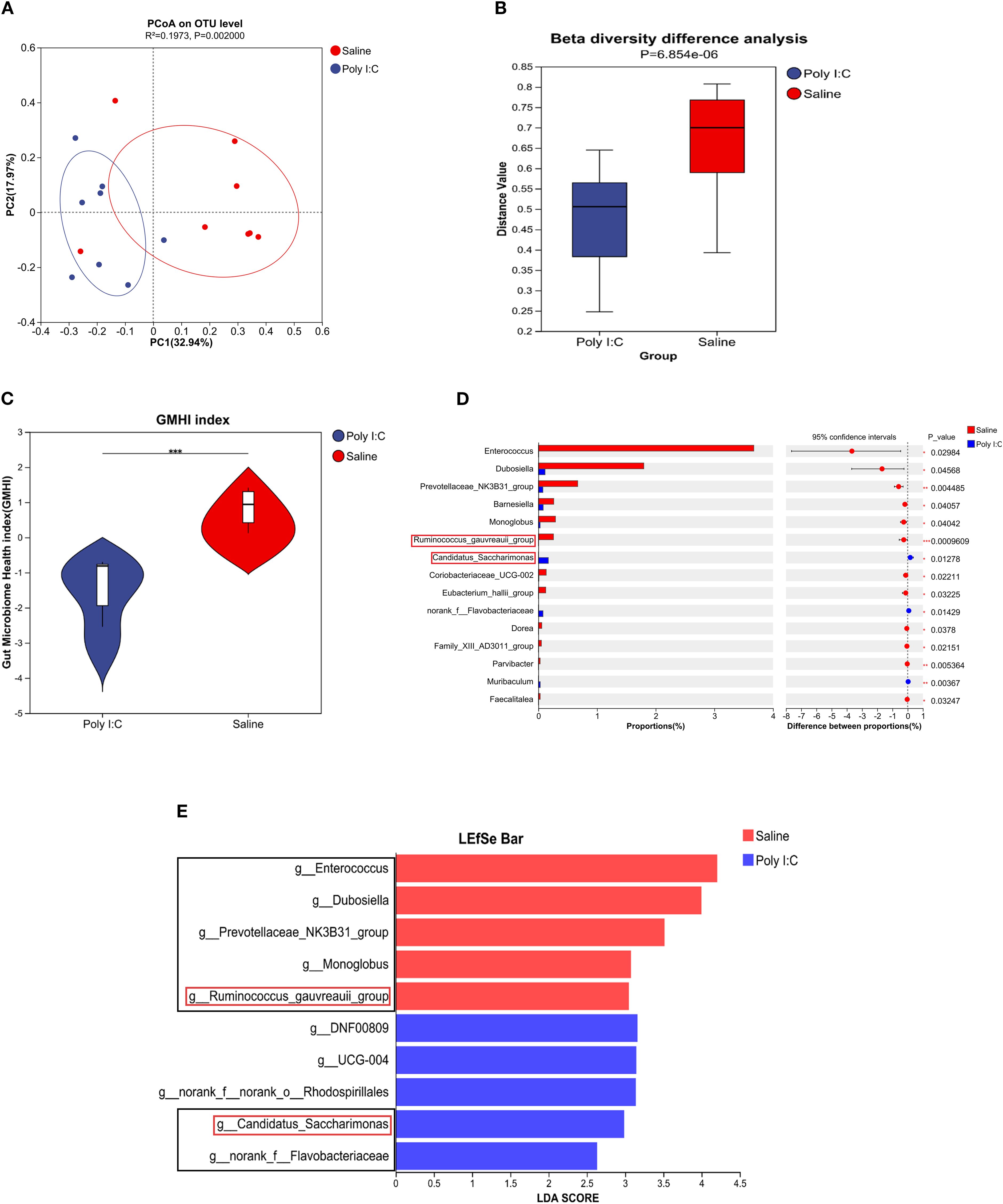 Panel A shows a PCoA plot of OTU level data with red and blue ellipses representing saline and Poly I:C groups. Panel B displays a box plot for beta diversity analysis, indicating higher distances in the saline group. Panel C presents a violin plot comparing GMHI index scores between groups. Panel D is a bar chart with microbial taxa proportions, highlighting differences between groups. Panel E features a LEfSe bar chart for LDA scores of taxa, with red and blue bars for saline and Poly I:C groups.