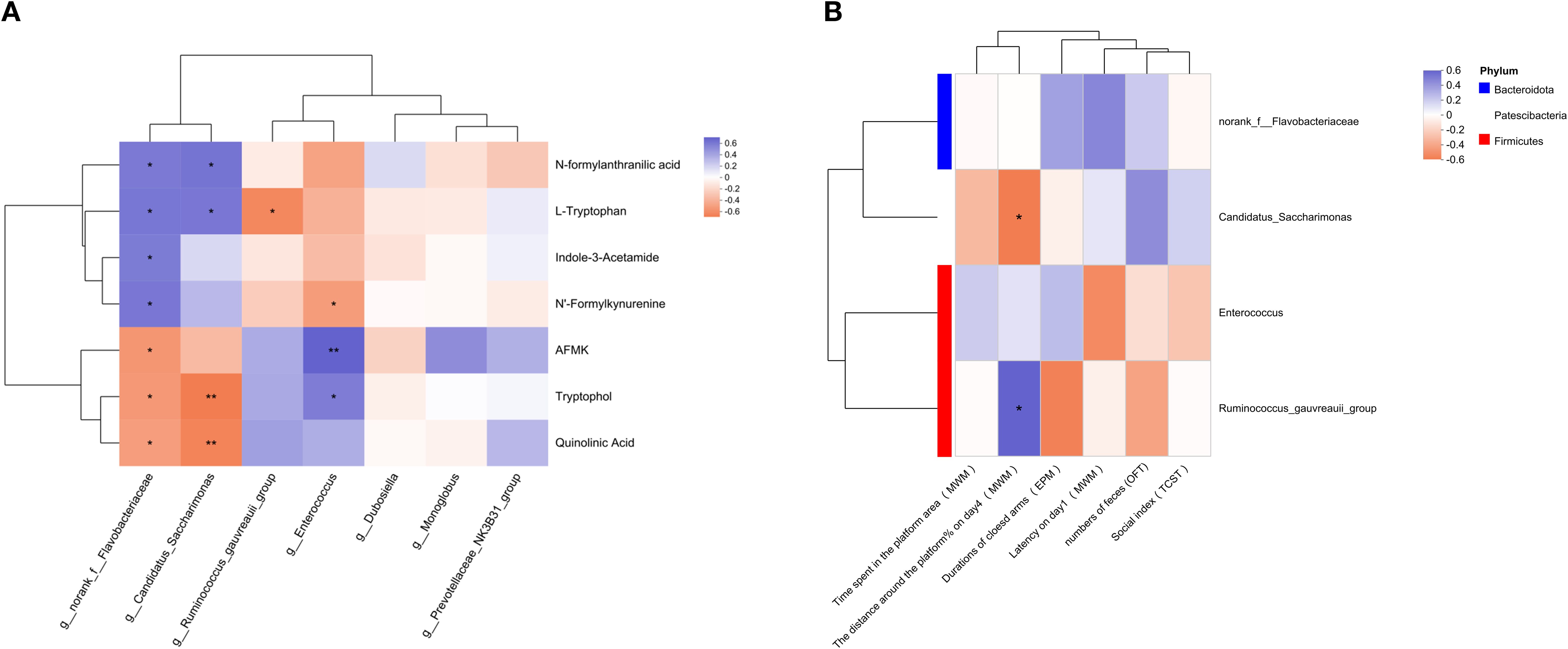 Heatmaps labeled A and B display clustered data relationships. Heatmap A shows correlations between metabolites like L-Tryptophan and various compounds, using a blue-to-red gradient. Heatmap B associates bacterial genera with different parameters such as time spent in platform areas, using the same gradient. Phylum classifications (Bacteroidota, Patescibacteria, Firmicutes) are indicated by colored side bars. Asterisks denote significant correlations.