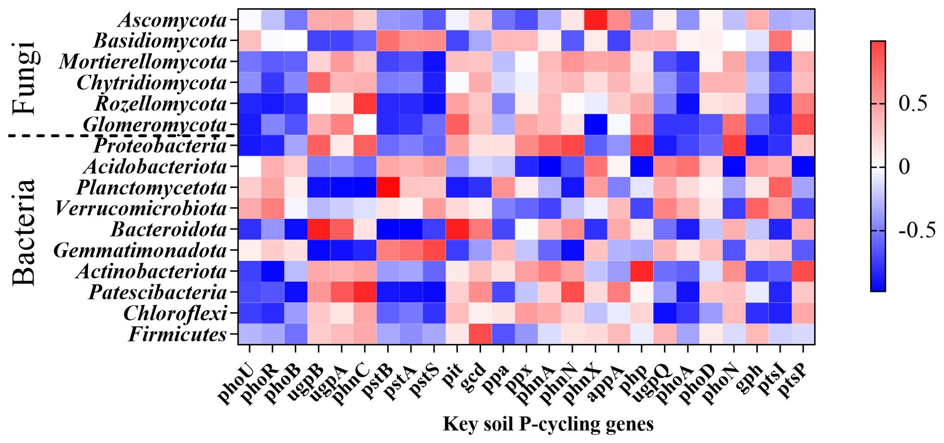 Heatmap showing the abundance of various fungal and bacterial groups, with Fungi and Bacteria labeled on the left. Columns represent different genes, and colors range from blue to red, indicating varying abundance levels from negative to positive values. A color scale on the right shows values from negative 0.5 to positive 0.5.