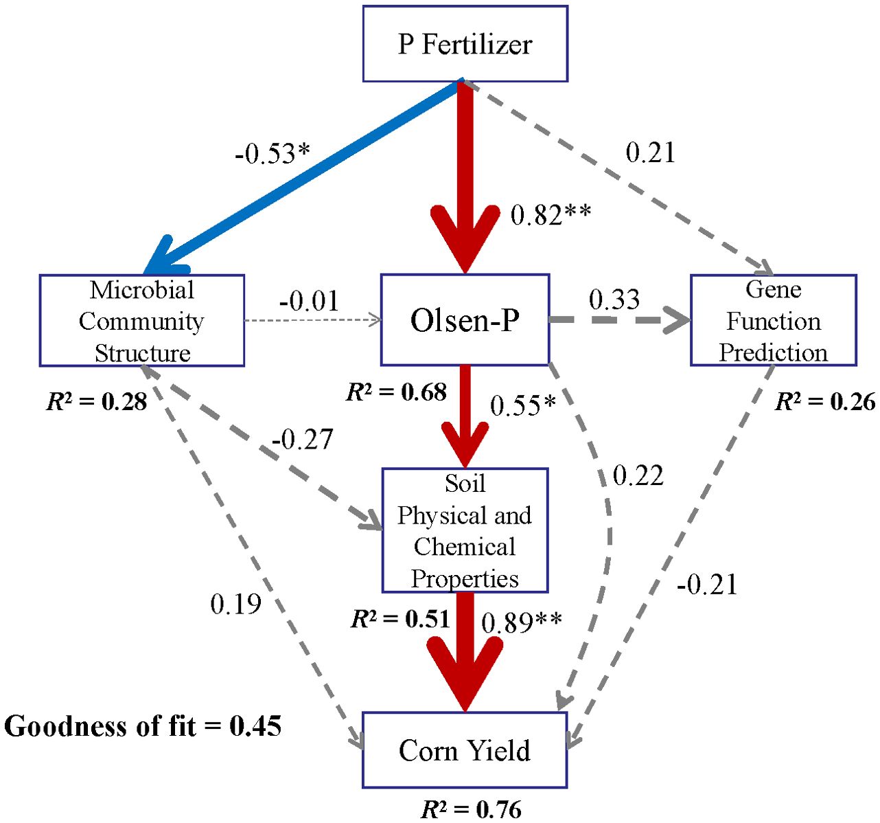 Diagram depicting the relationships between P Fertilizer, Microbial Community Structure, Gene Function Prediction, Olsen-P, Soil Physical and Chemical Properties, and Corn Yield. Solid and dashed arrows indicate positive and negative effects, respectively. P Fertilizer positively impacts Olsen-P and Gene Function Prediction, influencing Corn Yield. The diagram displays path coefficients and R-squared values for each relationship. Goodness of fit is 0.45.