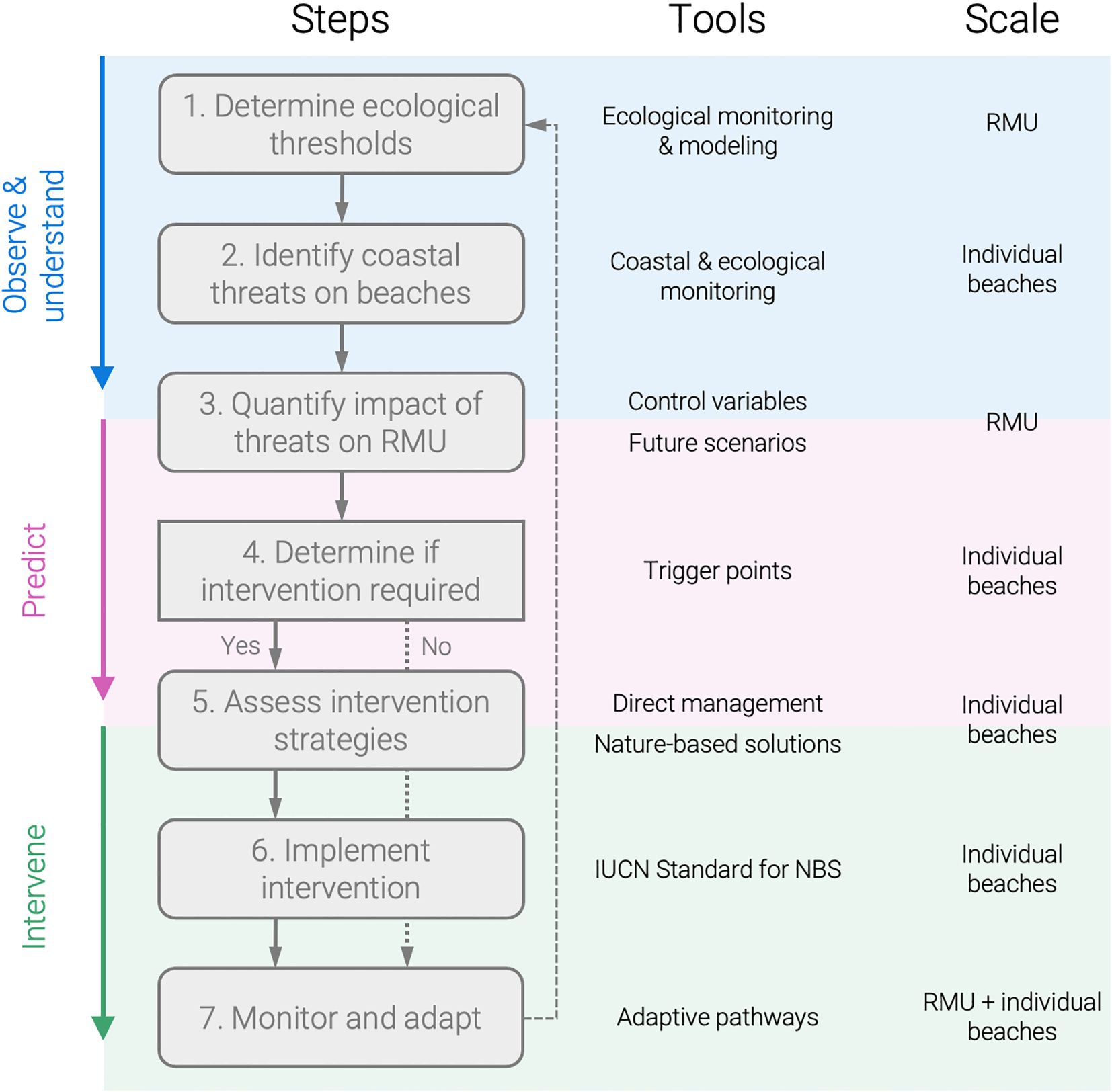 Flowchart illustrating the steps for managing ecological threats on beaches, categorized into “Observe & Understand,” “Predict,” and “Intervene.” Steps include determining ecological thresholds, identifying threats, quantifying impacts, deciding on interventions, assessing strategies, implementing actions, and monitoring. Tools and scales for each step are shown, such as ecological monitoring and adaptive pathways.