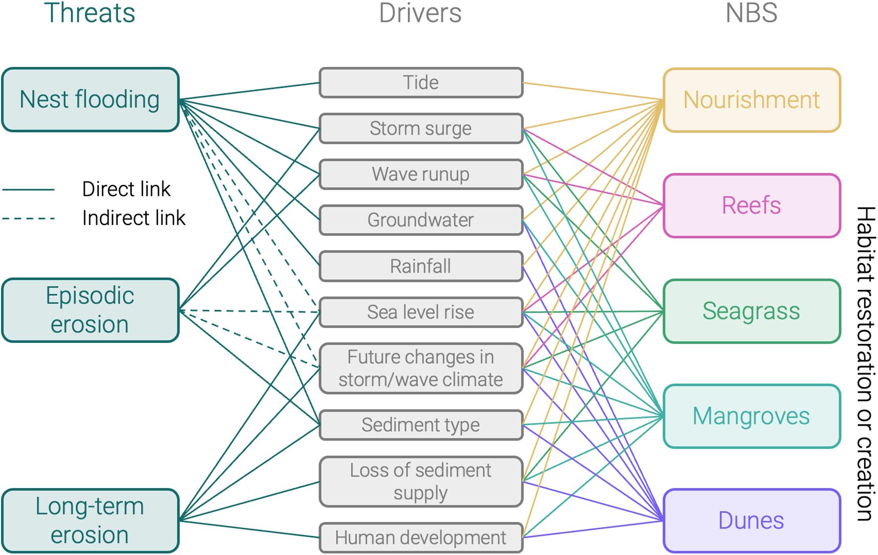 Diagram showing links between threats, drivers, and nature-based solutions (NBS) for habitat restoration or creation. Threats include nest flooding, episodic erosion, and long-term erosion. Drivers include tide, storm surge, wave runup, groundwater, rainfall, sea level rise, future climate changes, sediment type, sediment supply loss, and human development. NBS options are nourishment, reefs, seagrass, mangroves, and dunes. Solid lines indicate direct links, and dashed lines indicate indirect links.