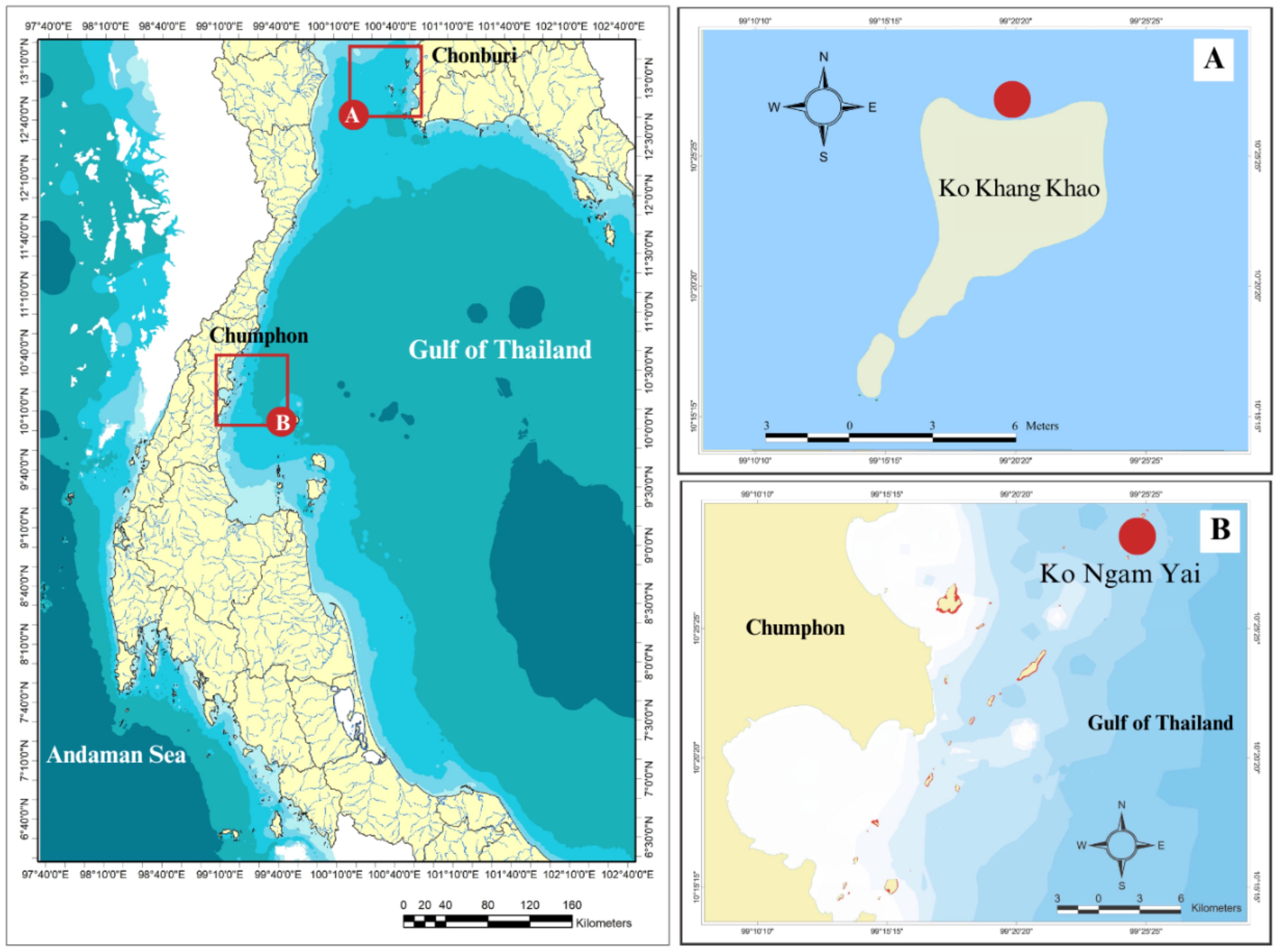 Map of the Upper and Western Gulf of Thailand. Enlarged sections show the sampling sites at Ko Khang Khao in Upper Gulf of Thailand (A) and at Ko Ngam Yai islands in the in Western Gulf of Thailand (B).