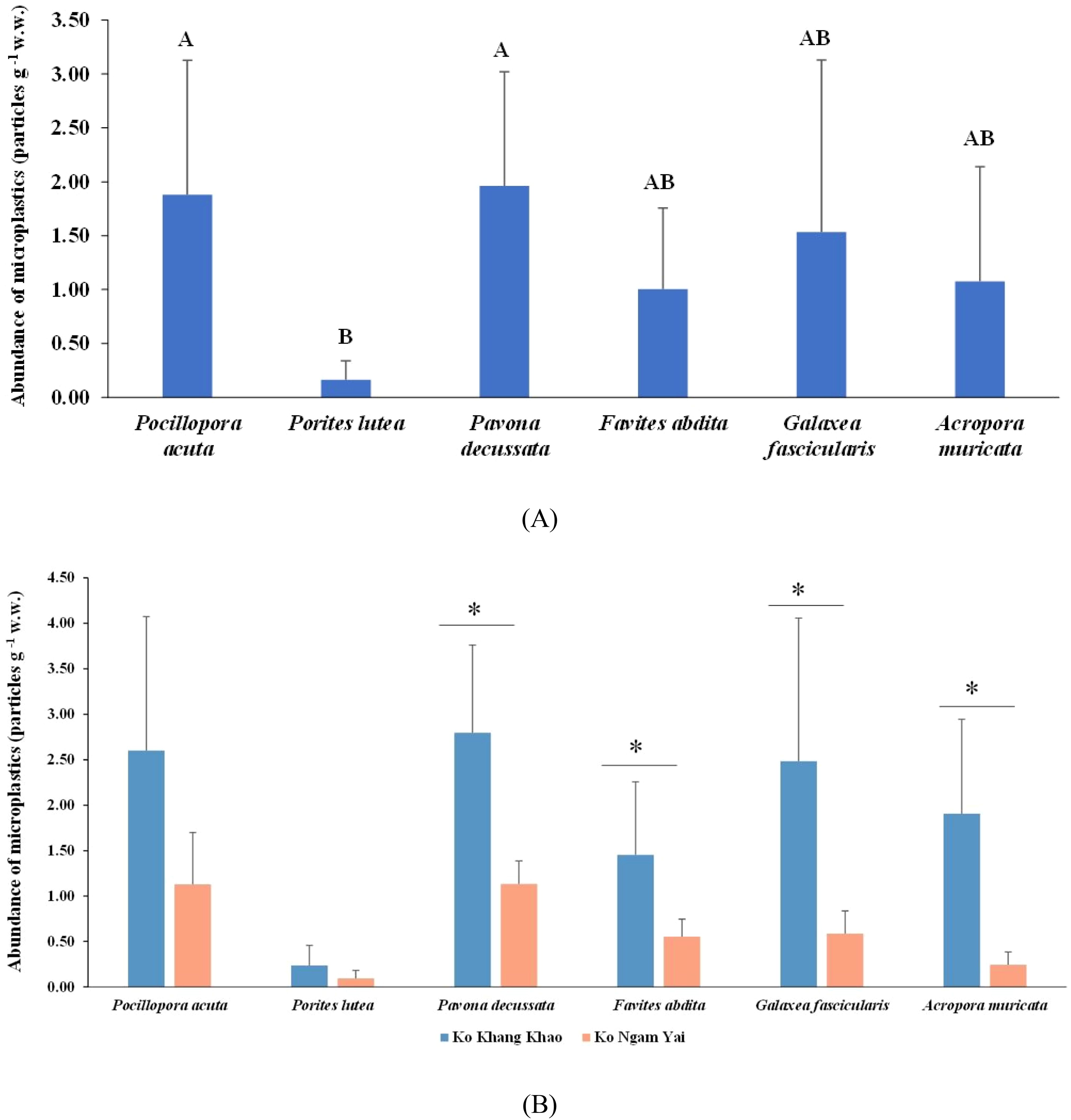 Bar charts depicting the abundance of microplastics in different coral species. (A) Displays data for six coral types, with “Pocillopora acuta” and “Pavona decussata” having the highest levels of microplastic concentration. (B) Compares two locations, Ko Khang Khao and Ko Ngam Yai, showing significantly higher microplastic levels in Ko Khang Khao for Pavona decussata, Favites abdita, Galaxea fascicularis, Acropora Muricata, indicated by asterisks.