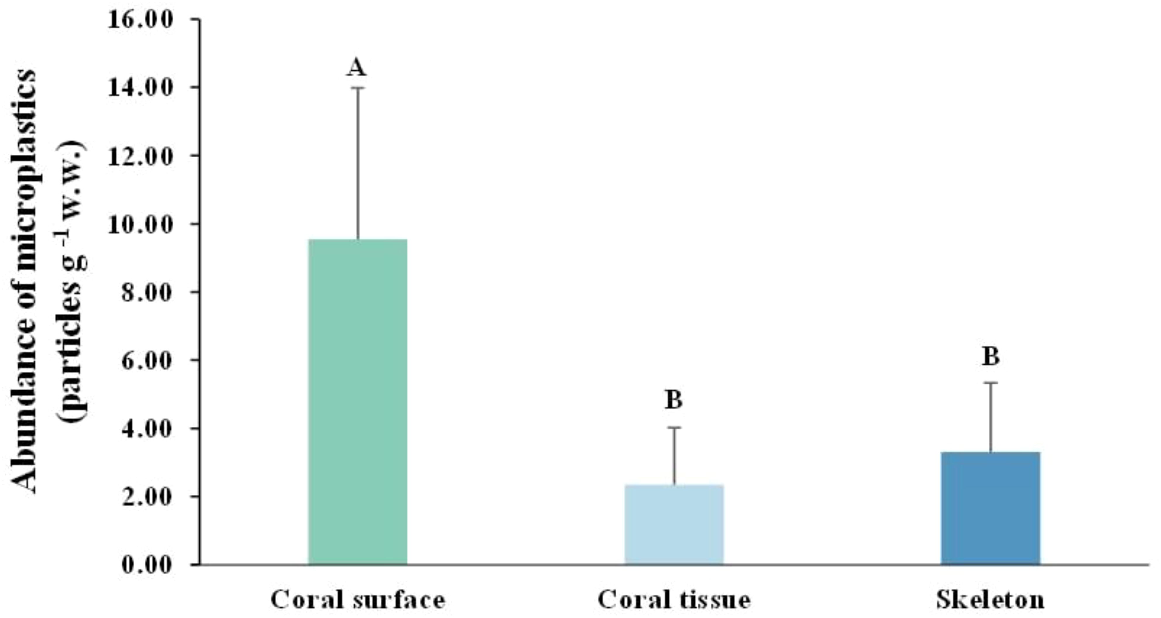 Bar chart showing the abundance of microplastics in three coral components: surface, tissue, and skeleton. The coral surface exhibits the highest abundance, at approximately 11 particles per gram, labeled “A,” which is significantly different from the coral tissue and skeleton. The coral tissue and skeleton show lower abundances, both labeled “B,” indicating no significant difference between them. Error bars represent standard deviations.