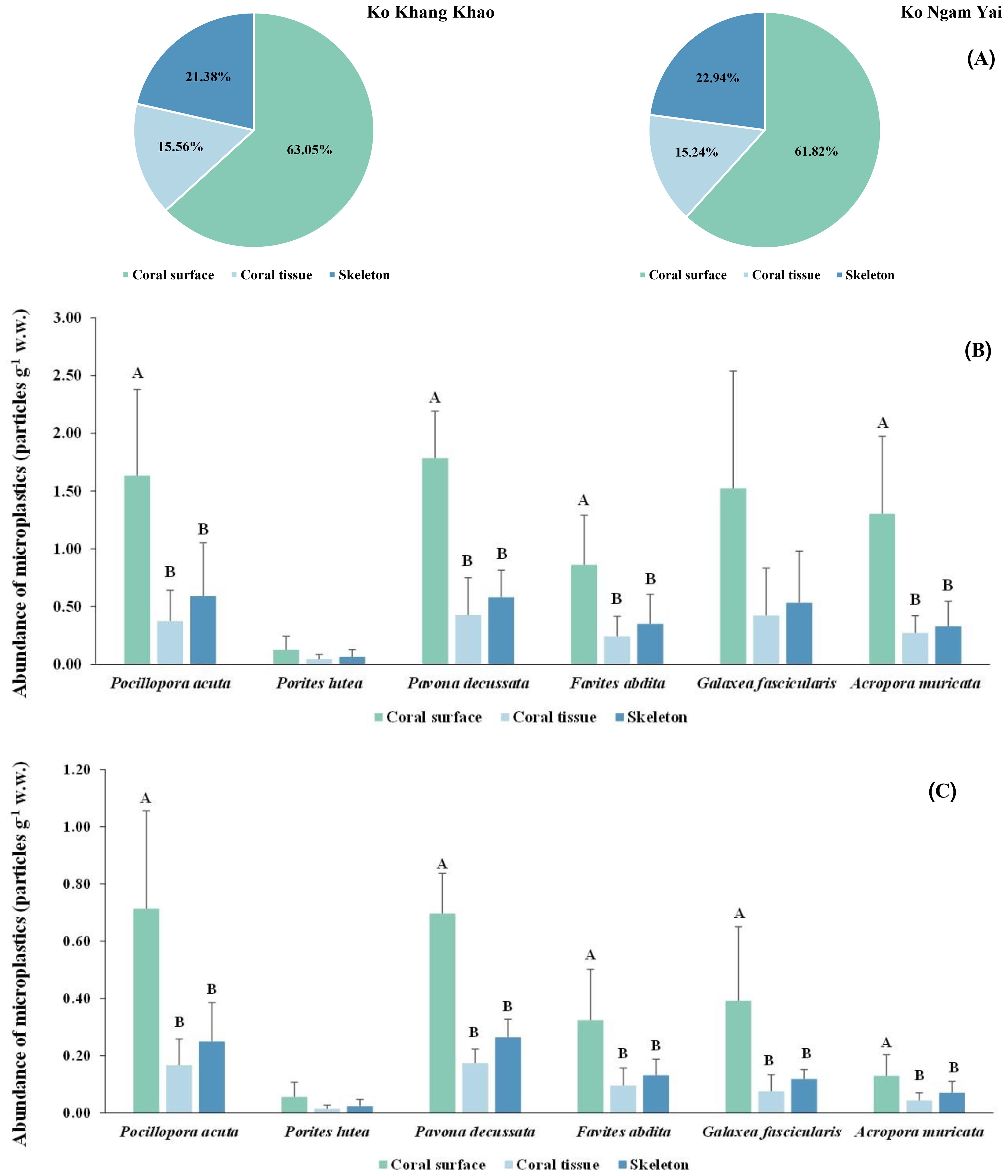 Two pie charts and two bar graphs depict microplastic abundance in different corals. Pie charts show distribution among coral surface, tissue, and skeleton for Ko Khang Khao and Ko Ngam Yai. Bar graphs (B and C) compare microplastic abundance in surface, tissue, and skeleton of six coral species.