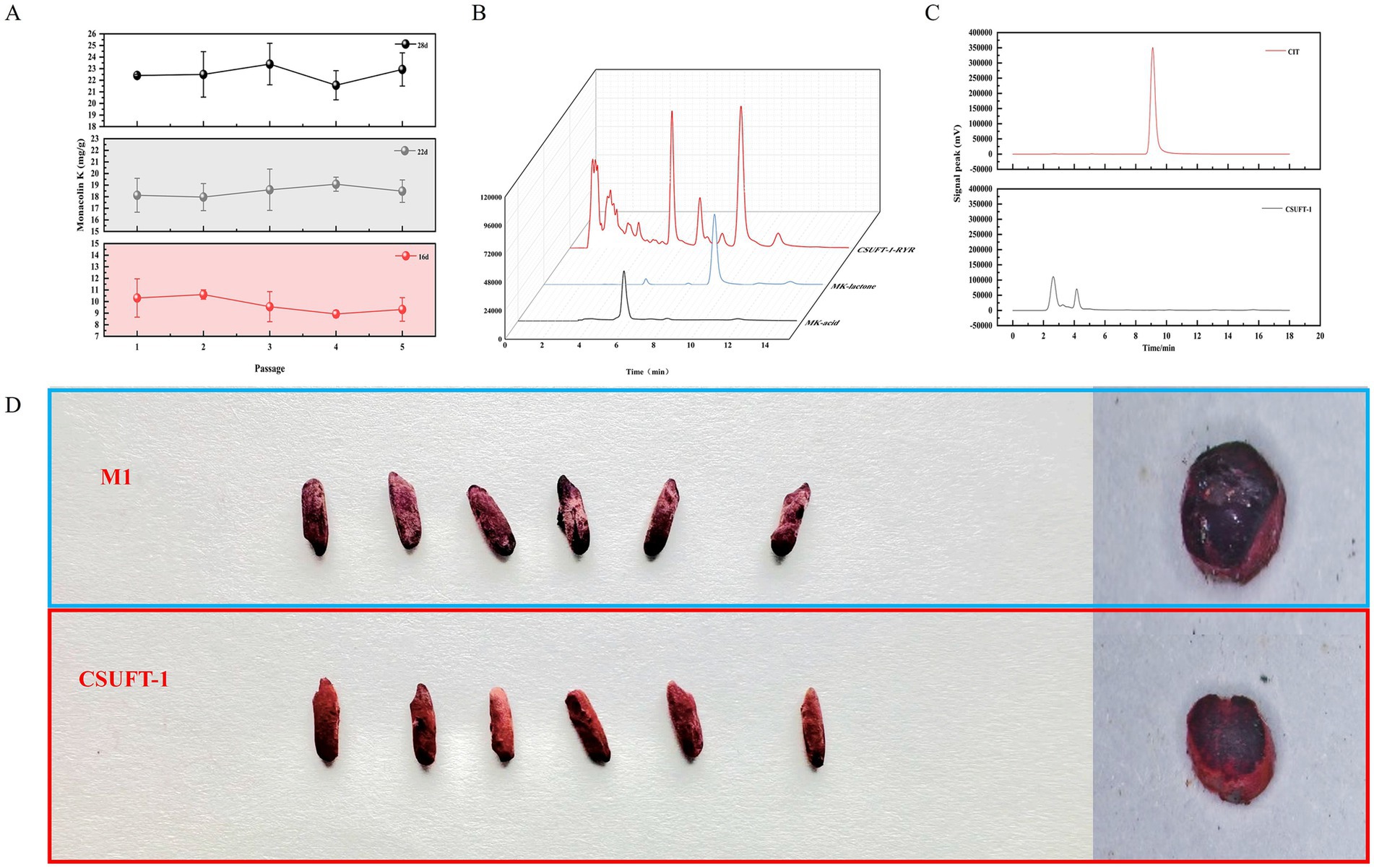 Panel A shows three line graphs depicting monacolin K levels over five passages for three samples labeled 28d, 23d, and 16d. Panel B presents a 3D chromatogram comparing CSUFT-1-RYR, MK-lactone, and MK-acid. Panel C has two chromatograms comparing CIT and CSUBT-1 over time. Panel D displays images of rice samples labeled M1 and CSUFT-1, showing differences in appearance.