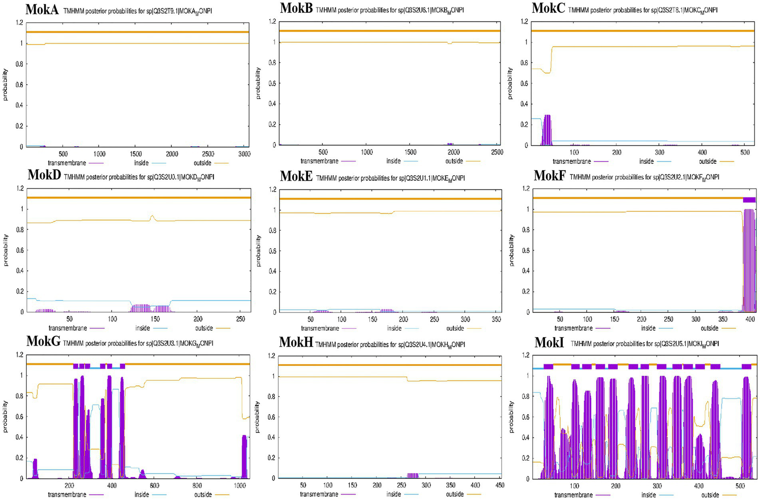 Nine graphs titled MokA to MokI display TMHMM posterior probabilities for different sequences. Each graph shows probability on the y-axis against transmembrane regions on the x-axis, indicating transmembrane, inside, and outside probabilities with distinct colors. MokG and MokI exhibit notable fluctuation compared to others.