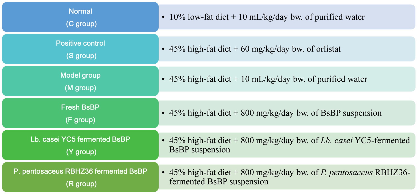 Diagram showing different experimental groups with specific dietary conditions: Normal (C group) on a ten percent low-fat diet with ten milliliters per kilogram of purified water; Positive control (S group) on a forty-five percent high-fat diet with sixty milligrams per kilogram of orlistat; Model group (M group) on a forty-five percent high-fat diet with ten milliliters per kilogram of purified water; Fresh BsBP (F group), Lb. casei YC5 fermented BsBP (Y group), and P. pentosaceus RBHZ36 fermented BsBP (R group) on a forty-five percent high-fat diet with eight hundred milligrams per kilogram of BsBP suspension.