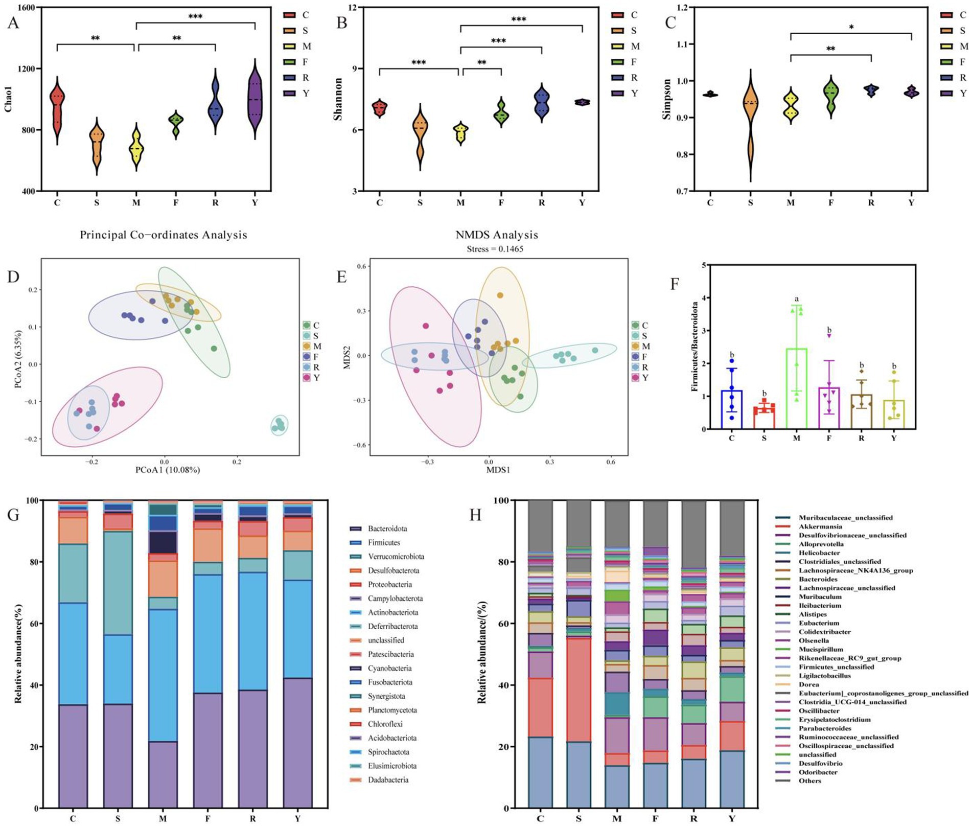 The image contains multiple panels of data visualizations related to bacterial diversity across different groups (C, S, M, F, R, Y). Panels A-C present violin plots showing Chao1, Shannon, and Simpson indices. Panel D shows a Principal Coordinates Analysis (PCoA) plot, while Panel E displays an NMDS analysis. Panel F features a bar chart depicting Firmicutes/Bacteroidetes ratios. Panels G and H illustrate stacked bar charts of relative bacterial abundance at different taxonomic levels, with a detailed legend indicating specific taxa. Statistical significance is marked in the plots with asterisks.