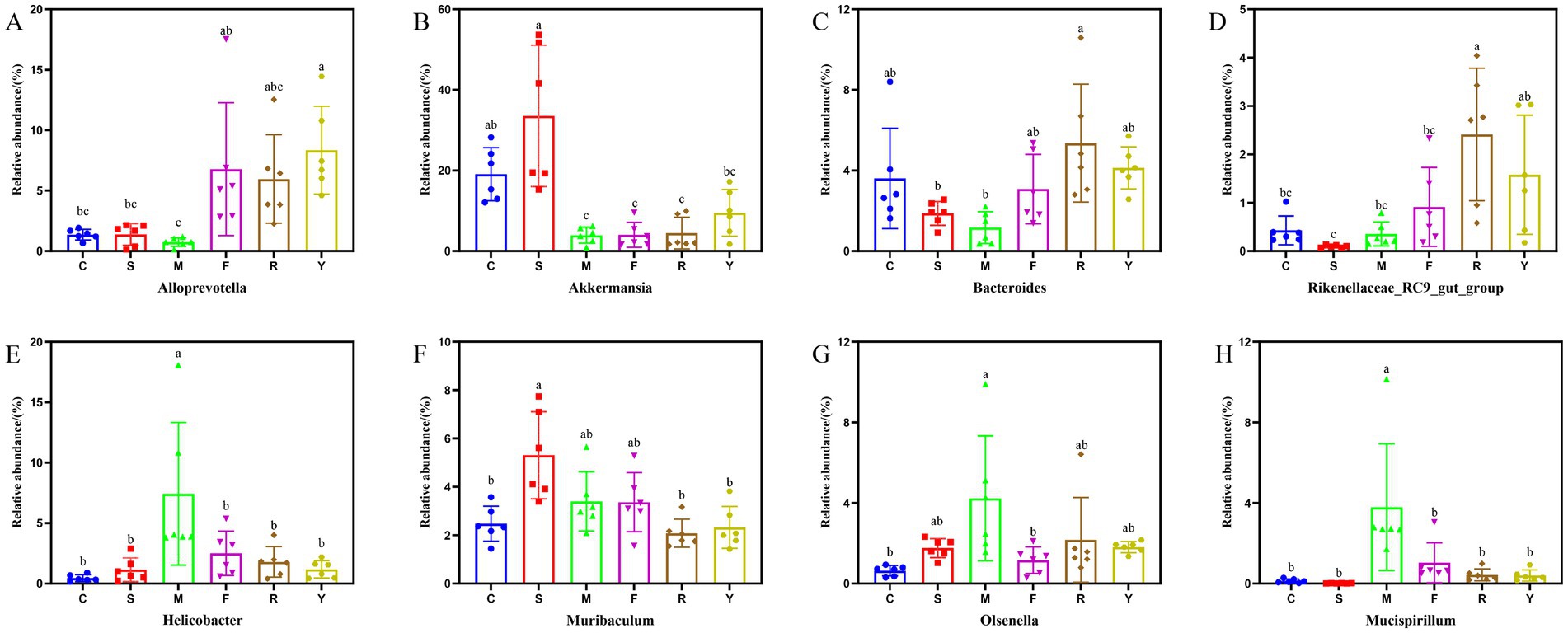 Eight bar graphs labeled A to H show the relative abundance of various bacterial groups: Alloprevotella, Akkermansia, Bacteroides, Rikenellaceae_RC9_gut_group, Helicobacter, Muribaculum, Olsenella, and Mucispirillum. Each graph compares groups C, S, M, F, R, and Y, with different colors and markers. Error bars indicate variability, and statistical significance is denoted by letters above each bar.