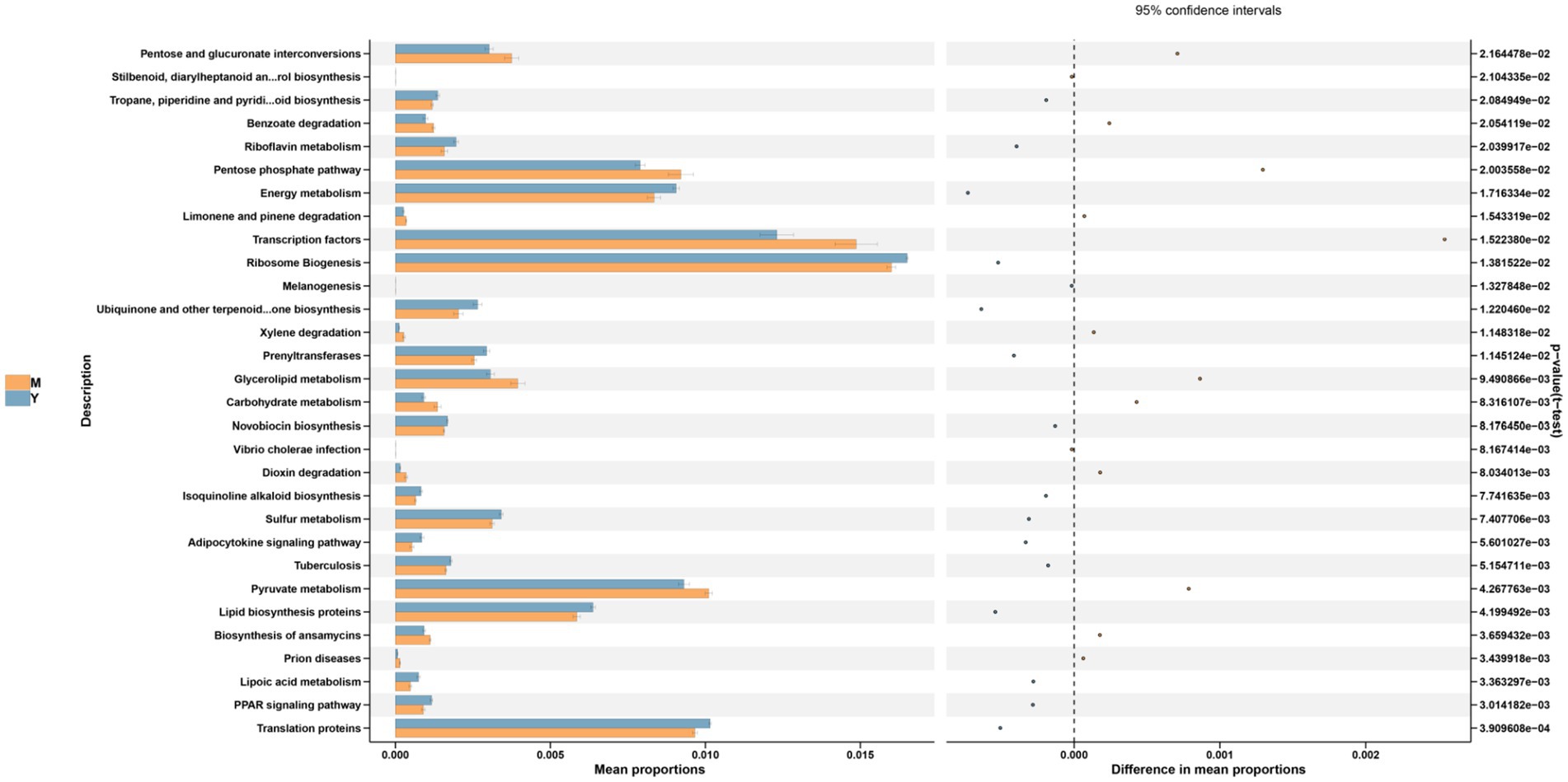 Bar chart displaying mean proportions of various biological processes, such as riboflavin metabolism and melanogenesis, for two groups labeled M and Y. Error bars indicate ninety-five percent confidence intervals. The chart includes significance values (p-values) and a vertical axis of difference in mean proportions.