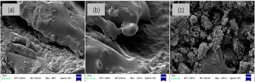 Three-part electron micrograph showing different material microstructures. Panel (a) depicts a rough surface with irregularities at 500x magnification. Panel (b) shows a slightly smoother surface with some protrusions, magnified 1000x. Panel (c) illustrates a granulated texture at 2000x magnification. Each panel displays scale bars and imaging details.
