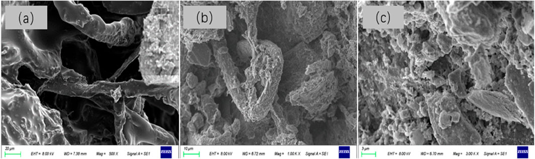 Three panels of scanning electron microscope images labeled (a), (b), and (c). Image (a) shows fibrous structures at 500x magnification. Image (b) reveals a textured surface at 1000x magnification. Image (c) displays a highly detailed surface with granular elements at 3000x magnification. Each image includes a scale bar for reference.