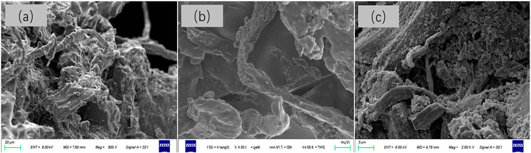 Three scanning electron microscope images labeled (a), (b), and (c), showing different magnifications of a fibrous material. (a) displays fibers with a rough texture at 500x magnification, (b) shows a closer view revealing layered fiber structures, and (c) presents a highly magnified view with finer details at 2000x magnification. Each image includes scale bars and technical specifications.