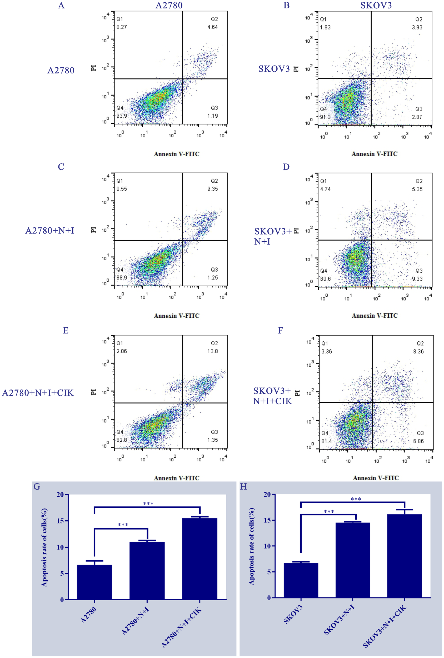 Flow cytometry plots and bar graphs depicting cell apoptosis rates in various conditions. Panels A to F show scatter plots for A2780 and SKOV3 cells treated with N+I and CIK. Quadrant statistics indicate apoptosis levels. Panels G and H are bar graphs comparing the apoptosis rates between treatments for A2780 and SKOV3 cells, showing statistically significant differences indicated by asterisks.