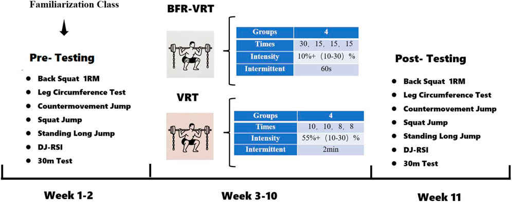 Familiarization class flowchart depicting a training schedule over weeks one to eleven. Week one to two involves pre-testing with exercises like back squat one rep max, leg circumference test, countermovement jump, squat jump, standing long jump, DJ-RSI, and a thirty-meter test. Weeks three to ten involve two protocols: BFR-VRT and VRT. BFR-VRT includes four groups with specified repetitions, intensity ranging from ten to over thirty percent, and sixty-second rest intervals. VRT involves four groups with different repetitions, intensity from fifty-five to over thirty percent, and two-minute rest intervals. Week eleven includes post-testing with the same exercises as pre-testing.