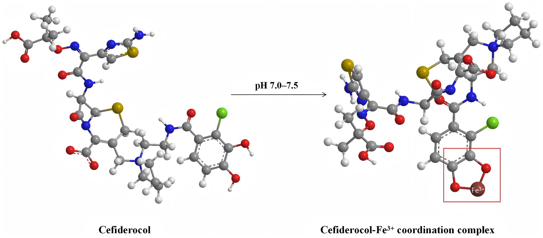 Molecular illustration showing cefiderocol on the left and its coordination with Fe³⁺ on the right. The arrow indicates the reaction occurring at a pH of 7.0–7.5, forming the cefiderocol-Fe³⁺ coordination complex.