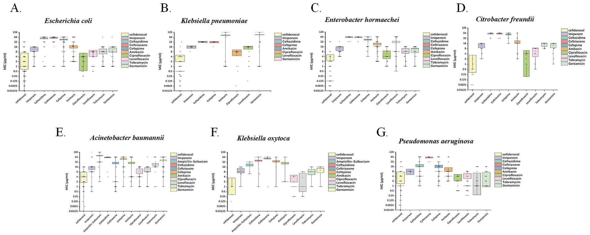 Box plots illustrating the minimum inhibitory concentrations (MIC) for various antibiotics against different bacteria. Charts A to G show data for Escherichia coli, Klebsiella pneumoniae, Enterobacter hormaechei, Citrobacter freundii, Acinetobacter baumannii, Klebsiella oxytoca, and Pseudomonas aeruginosa, respectively. Each subplot compares the efficacy of multiple antibiotics, including cefiderocol, imipenem, and ceftriaxone, among others, with color-coded boxes representing each antibiotic. MIC values on the y-axis range from 0.03125 to 128 micrograms per milliliter, indicating bacterial susceptibility levels.