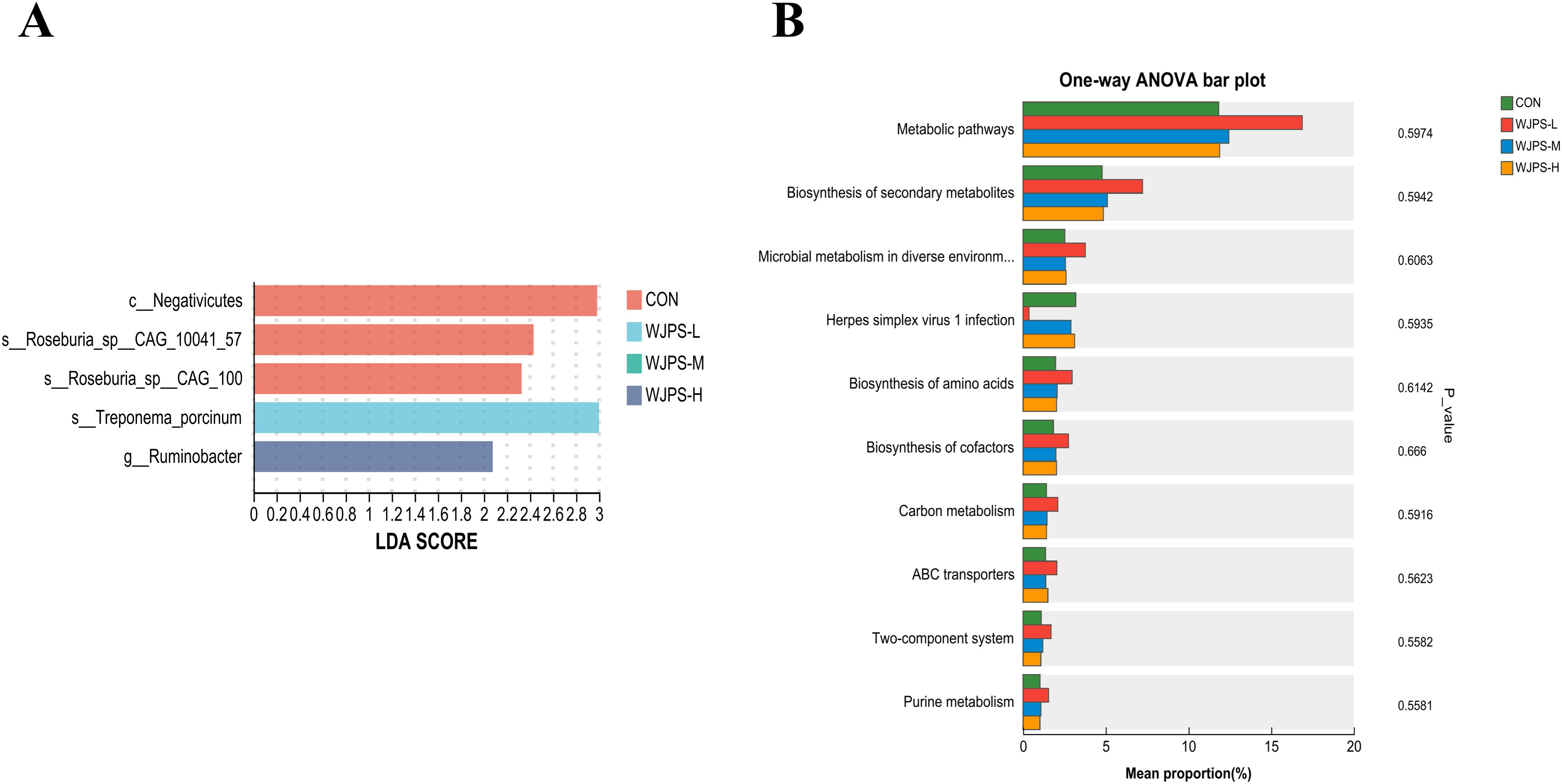 Panel A shows a bar plot of LDA scores for different bacterial taxa. Categories include c__Negativicutes, s__Roseburia_sp__CAG_10041_57, s__Roseburia_sp__CAG_100, s__Treponema_porcinum, and g__Ruminobacter. Panel B features a one-way ANOVA bar plot of mean proportions (%) across metabolic pathways, biosynthesis, virus infection, and other systems, with four groups: CON, WJPS-L, WJPS-M, and WJPS-H.