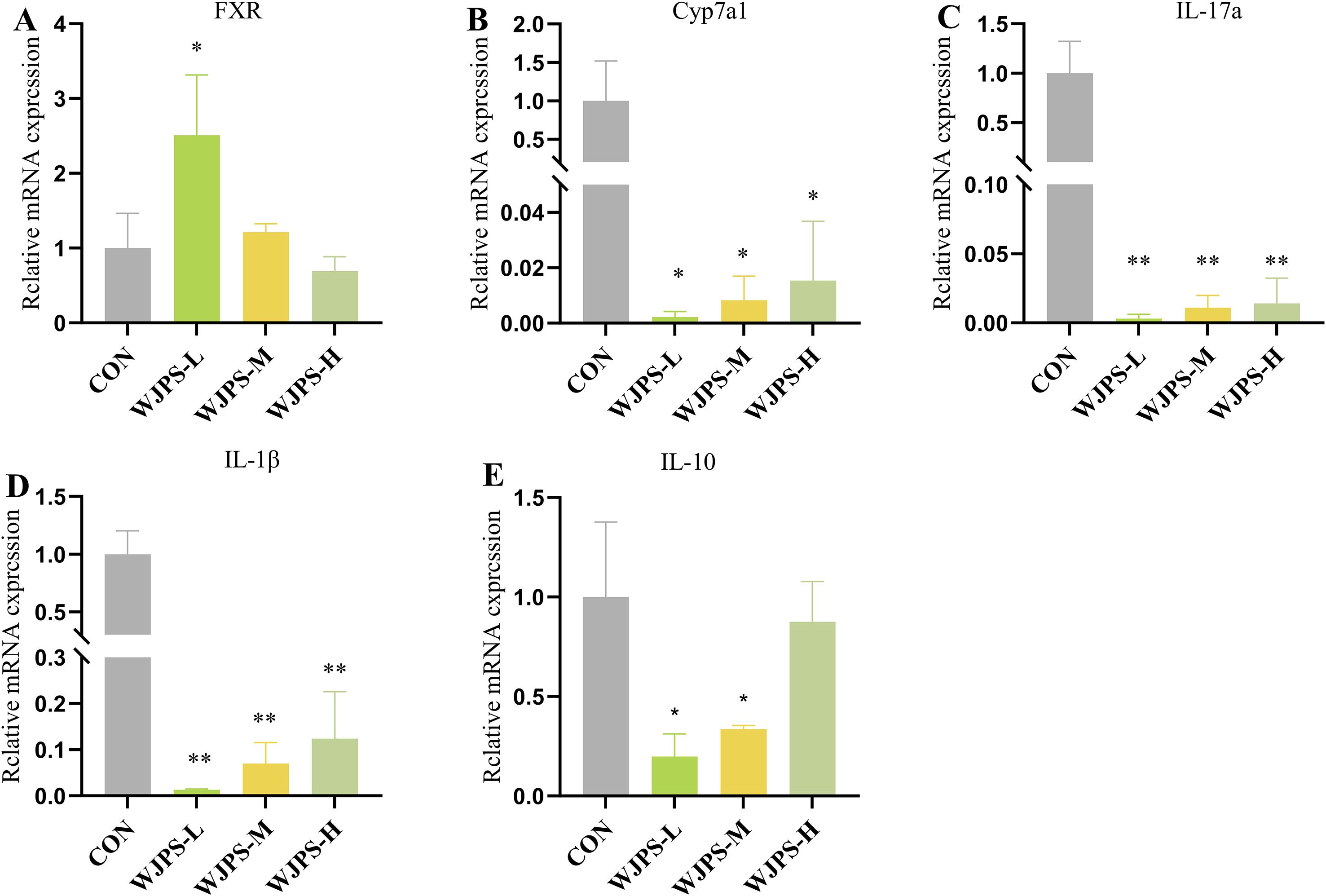 Bar charts depicting relative mRNA expression levels for five genes: FXR, Cyp7a1, IL-17a, IL-1β, and IL-10, across four groups: CON, WJPS-L, WJPS-M, and WJPS-H. FXR expression is highest in WJPS-L. Cyp7a1 and IL-17a expression are suppressed in WJPS groups compared to CON. IL-1β expression is lowest in WJPS-L and increases in WJPS-H. IL-10 shows reduced expression in WJPS-L and WJPS-M, with a slight increase in WJPS-H. Asterisks indicate statistical significance.